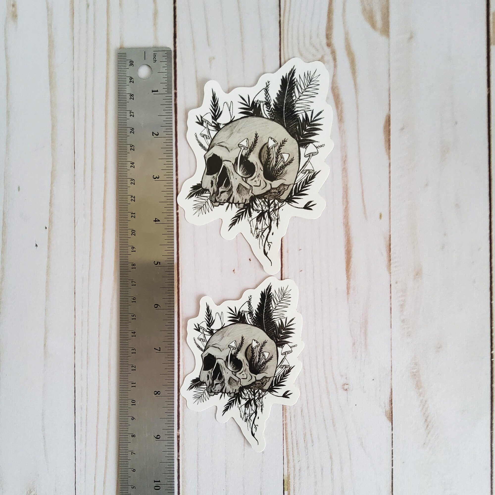 GLOSSY STICKER: Rebirth Skull and Mushroom Black and Grey Sticker , Skull and Ferns Sticker , Dark Aesthetic Skull Sticker , Skull Sticker Acornandcrowstudio