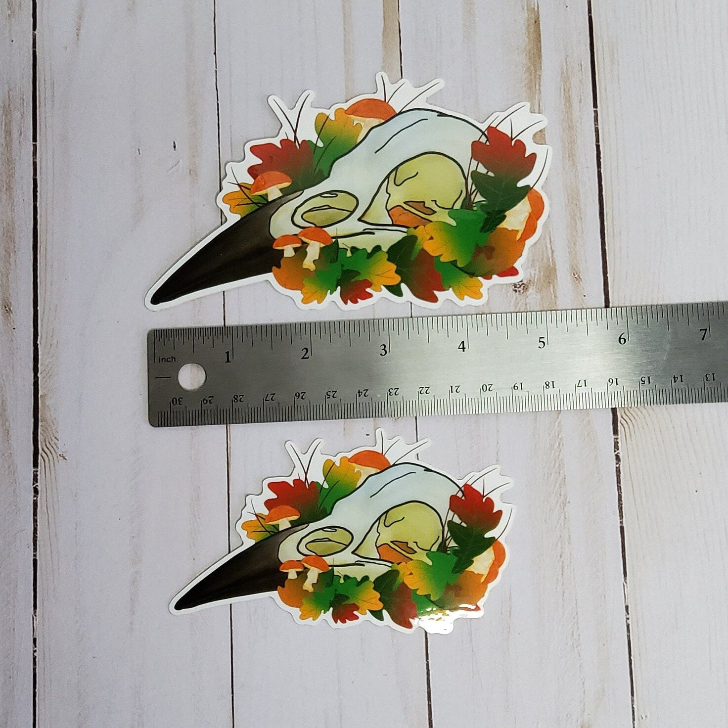 GLOSSY STICKER: Crow Skull and Leaves Sticker , Crow Skull Sticker , Mushroom Skull Sticker , Crow Skull and Leaves , Crow and Mushroom