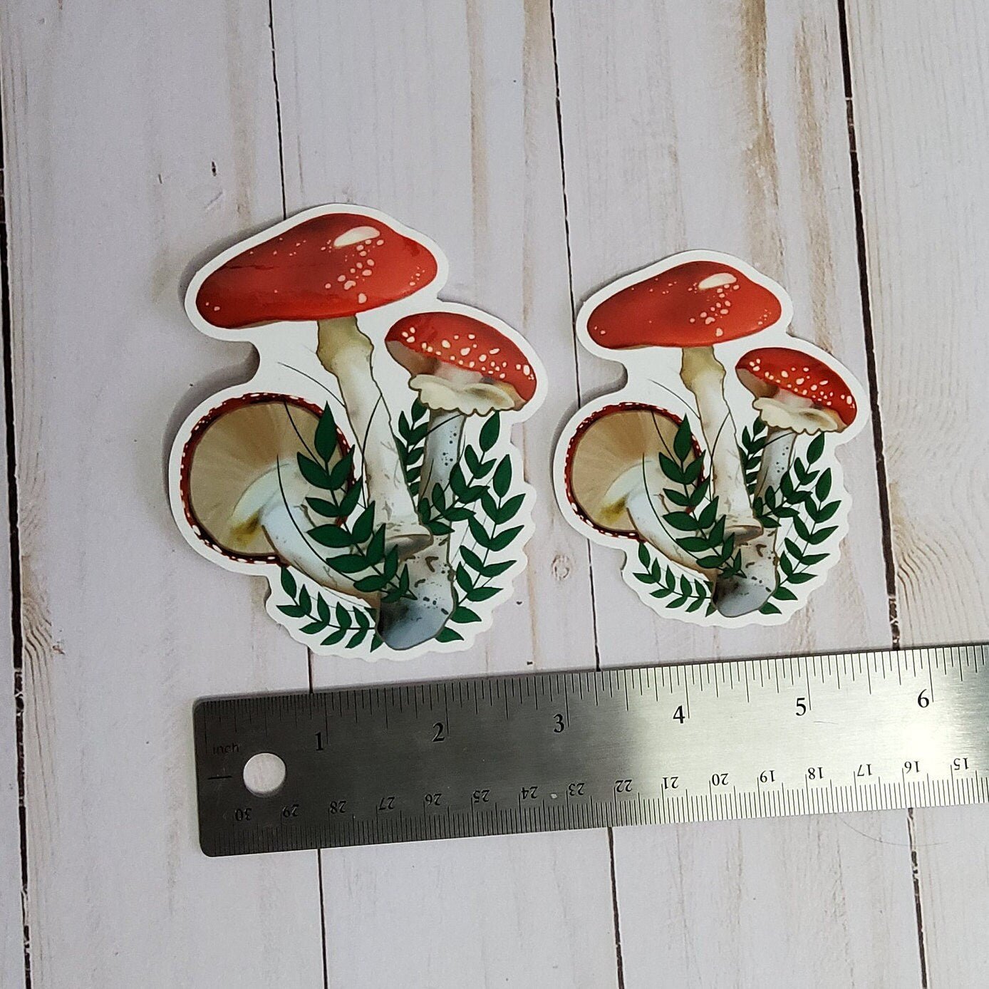 GLOSSY STICKER: Red Mushroom Forest Floor Aesthetic Sticker , Red Mushroom Sticker , Red Forest Mushroom Sticker , Mushroom Stickers