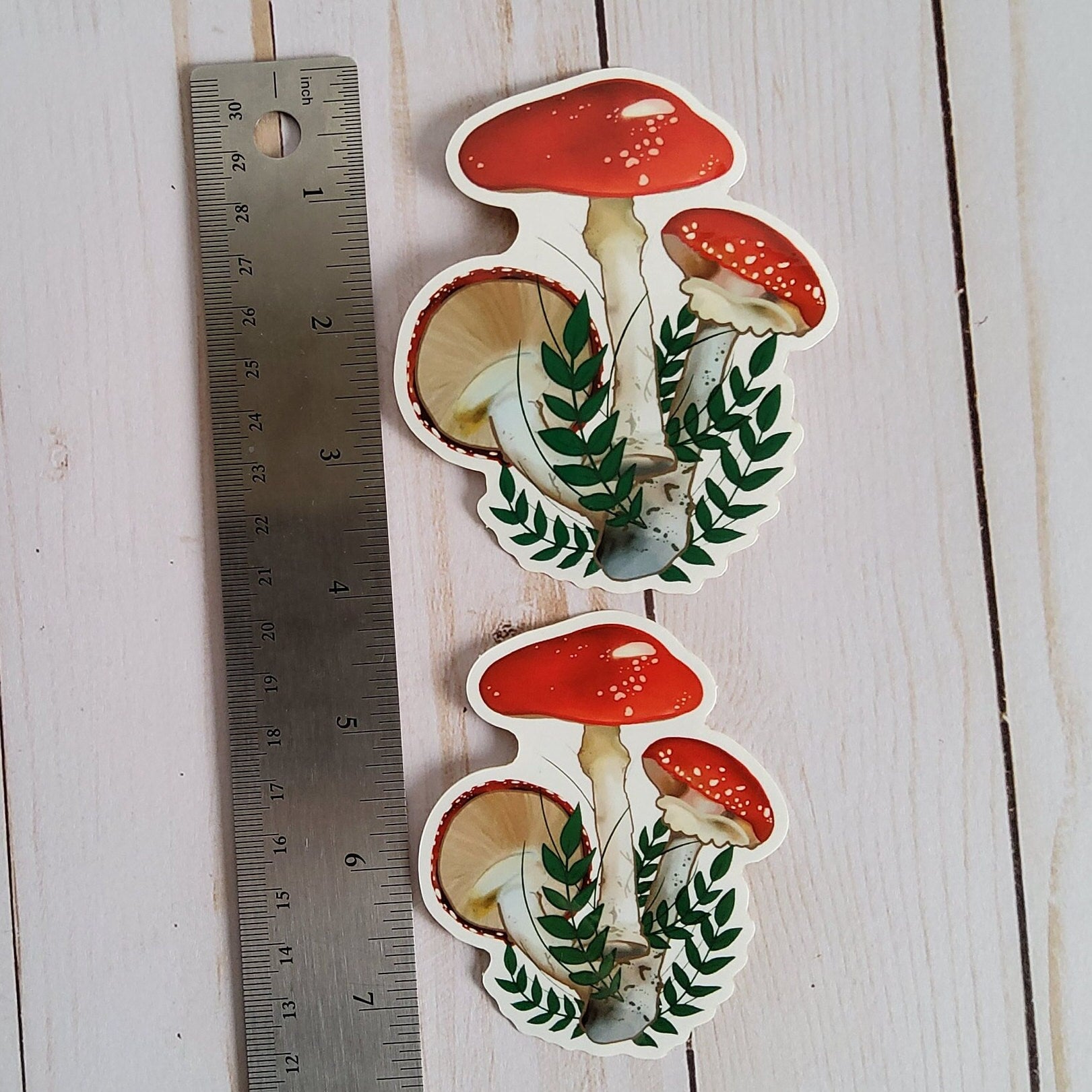 GLOSSY STICKER: Red Mushroom Forest Floor Aesthetic Sticker , Red Mushroom Sticker , Red Forest Mushroom Sticker , Mushroom Stickers