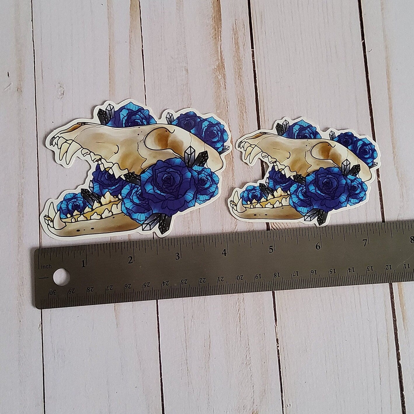 GLOSSY STICKER: Wolf Skull and Blue Roses Vulture Culture Stickers , Wolf Skull and Blue Roses Sticker , Wolf Skull and Roses Sticker