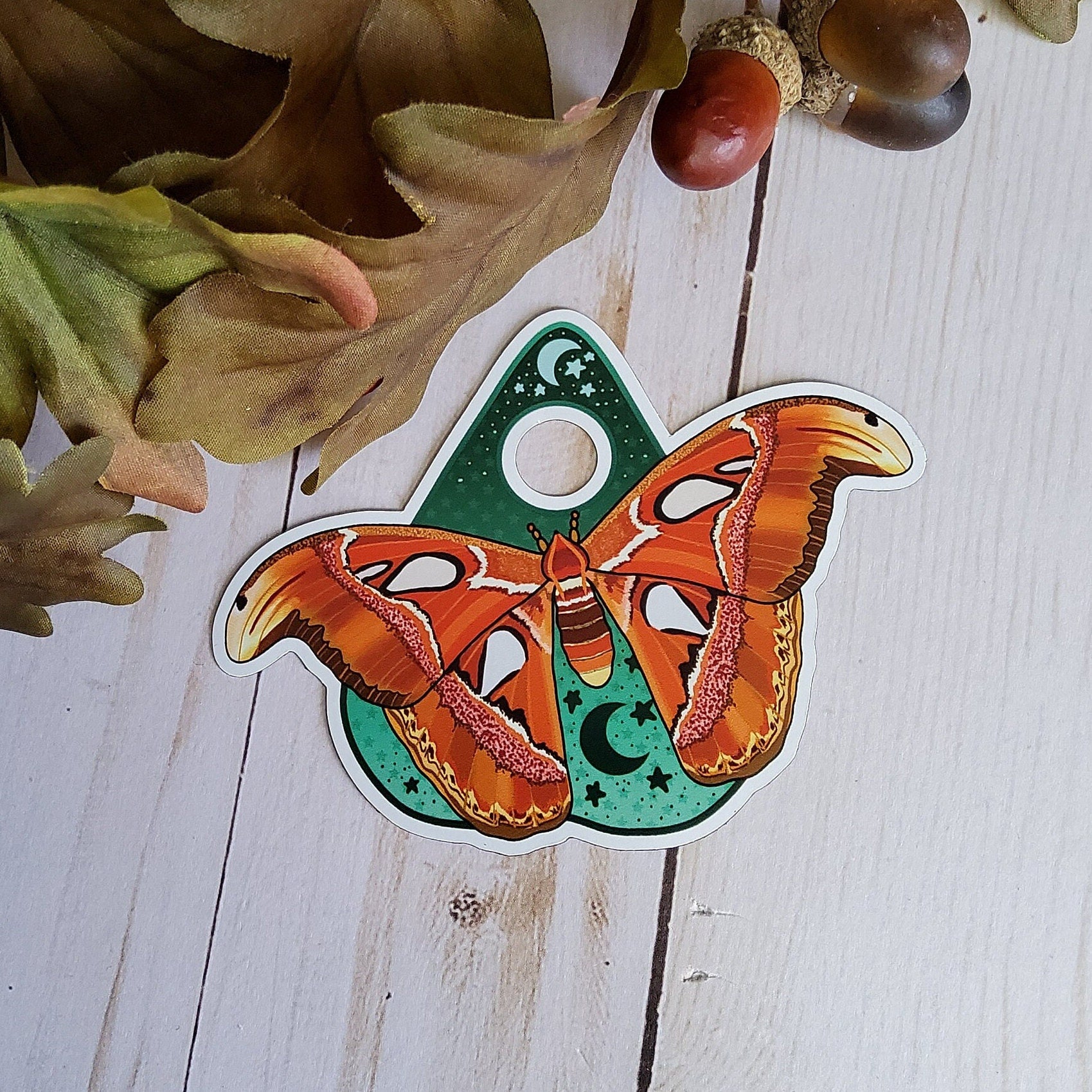 MAGNET: Atlas Moth Planchette Decorative Magnet , Atlas Moth Magnet , Atlas Moth Decorative Magnet , Moth Magnet , Planchette Magnet