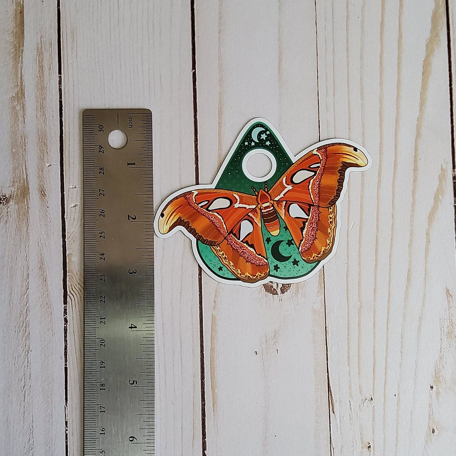 MAGNET: Atlas Moth Planchette Decorative Magnet , Atlas Moth Magnet , Atlas Moth Decorative Magnet , Moth Magnet , Planchette Magnet