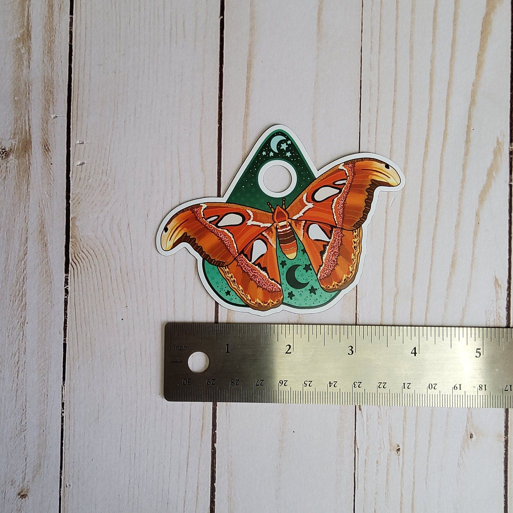 MAGNET: Atlas Moth Planchette Decorative Magnet , Atlas Moth Magnet , Atlas Moth Decorative Magnet , Moth Magnet , Planchette Magnet