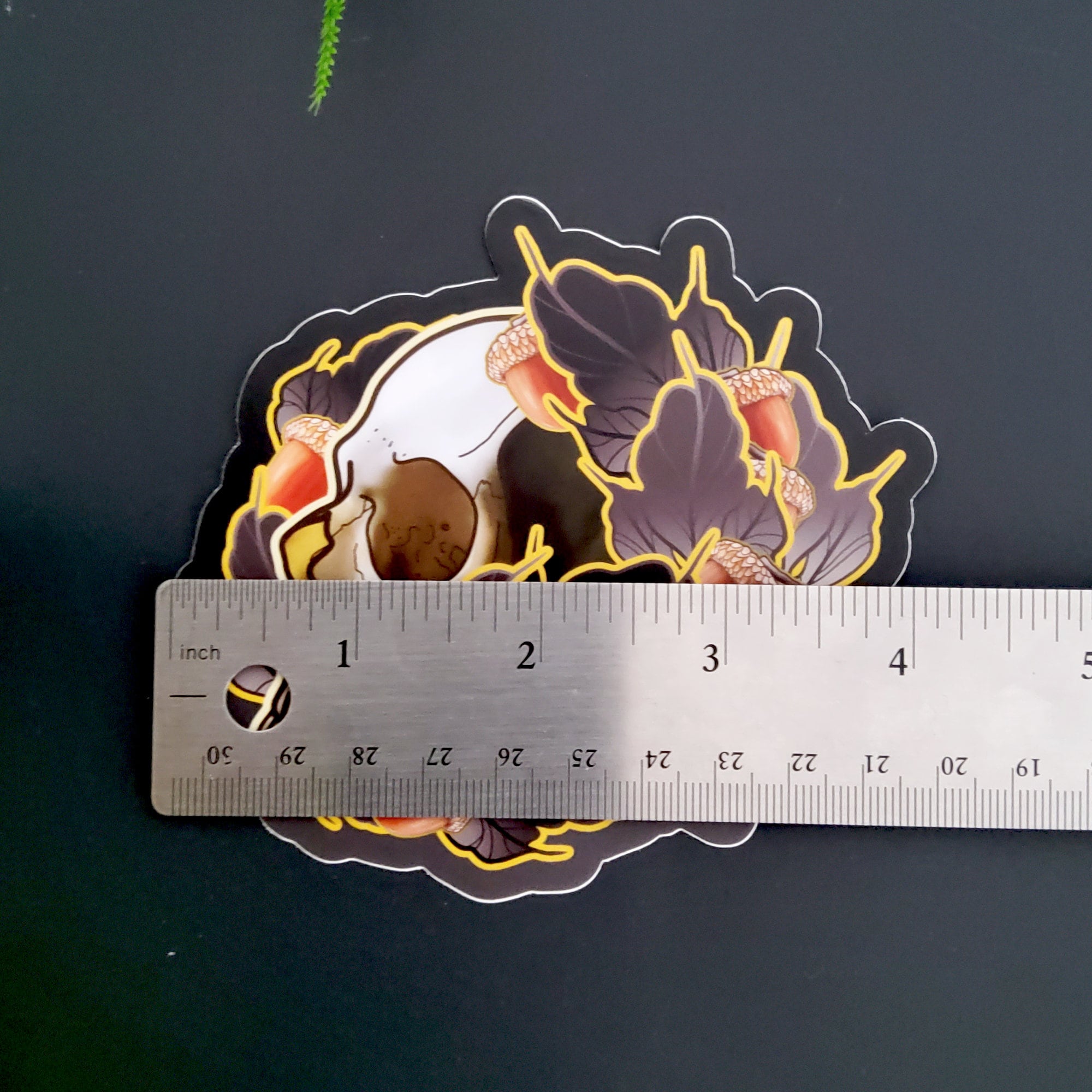 MATTE STICKER: Tattoo Style Skull and Acorns , Skull and Acorn Sticker , Goth Skull and Leaves Sticker , Tattoo Style , Dark Aesthetic