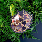 MATTE STICKER: Tattoo Style Skull and Acorns , Skull and Acorn Sticker , Goth Skull and Leaves Sticker , Tattoo Style , Dark Aesthetic