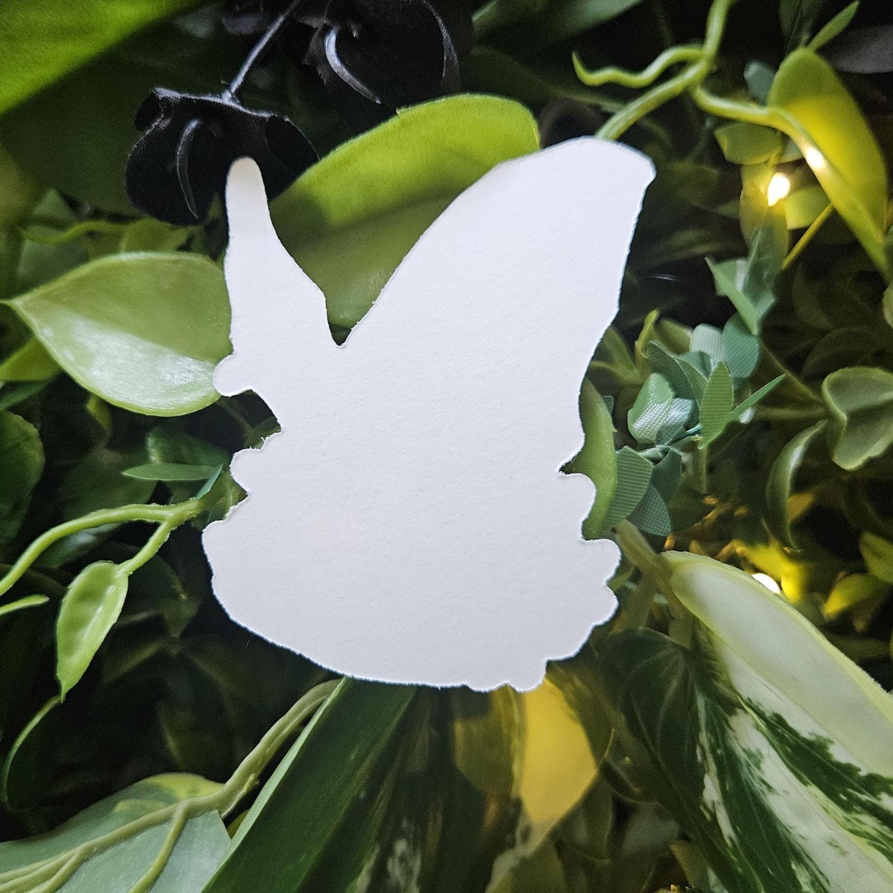 MATTE STICKER: Honduran Ghost Bat with Lemon Flowers Decorative Sticker Acornandcrowstudio