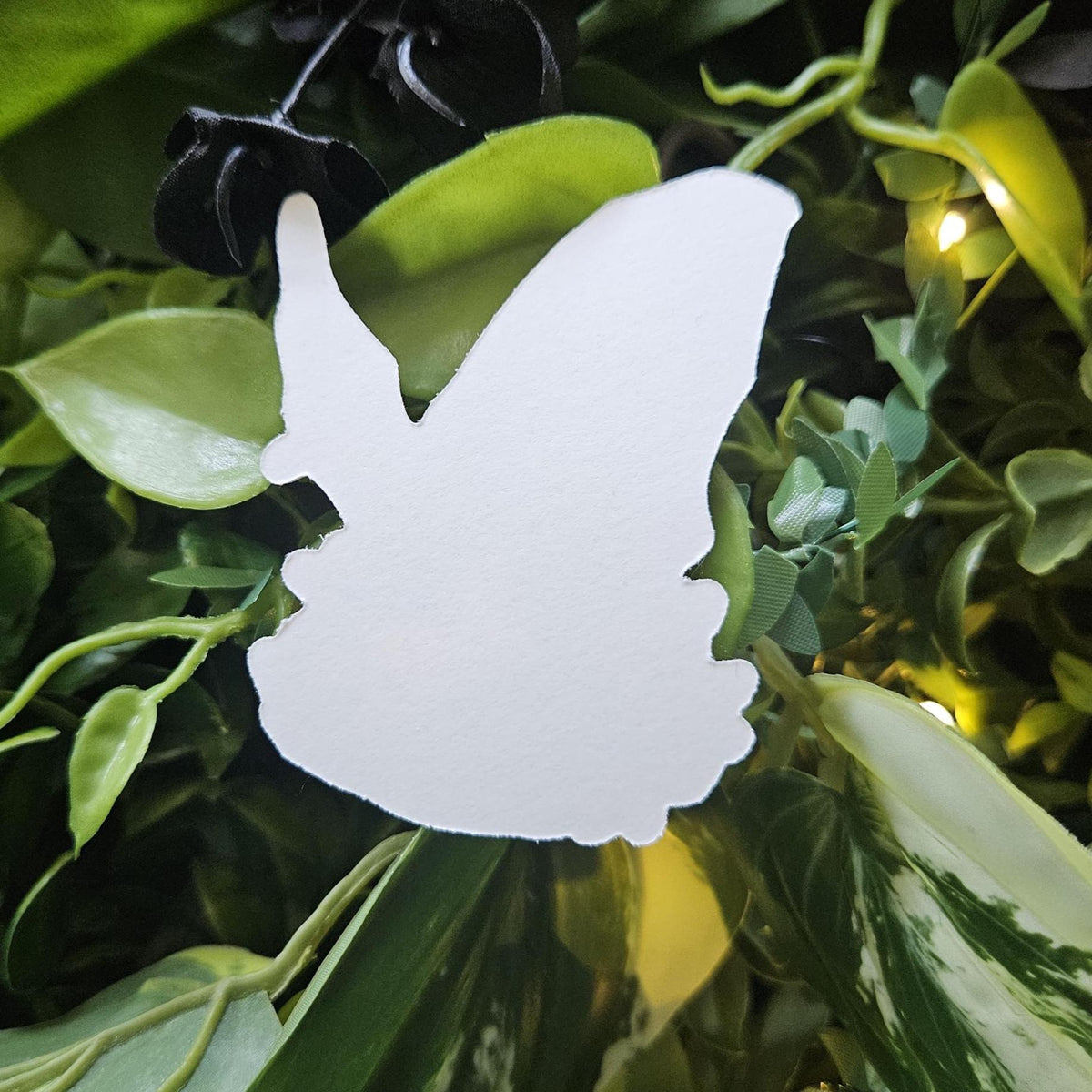 MATTE STICKER: Honduran Ghost Bat with Lemon Flowers