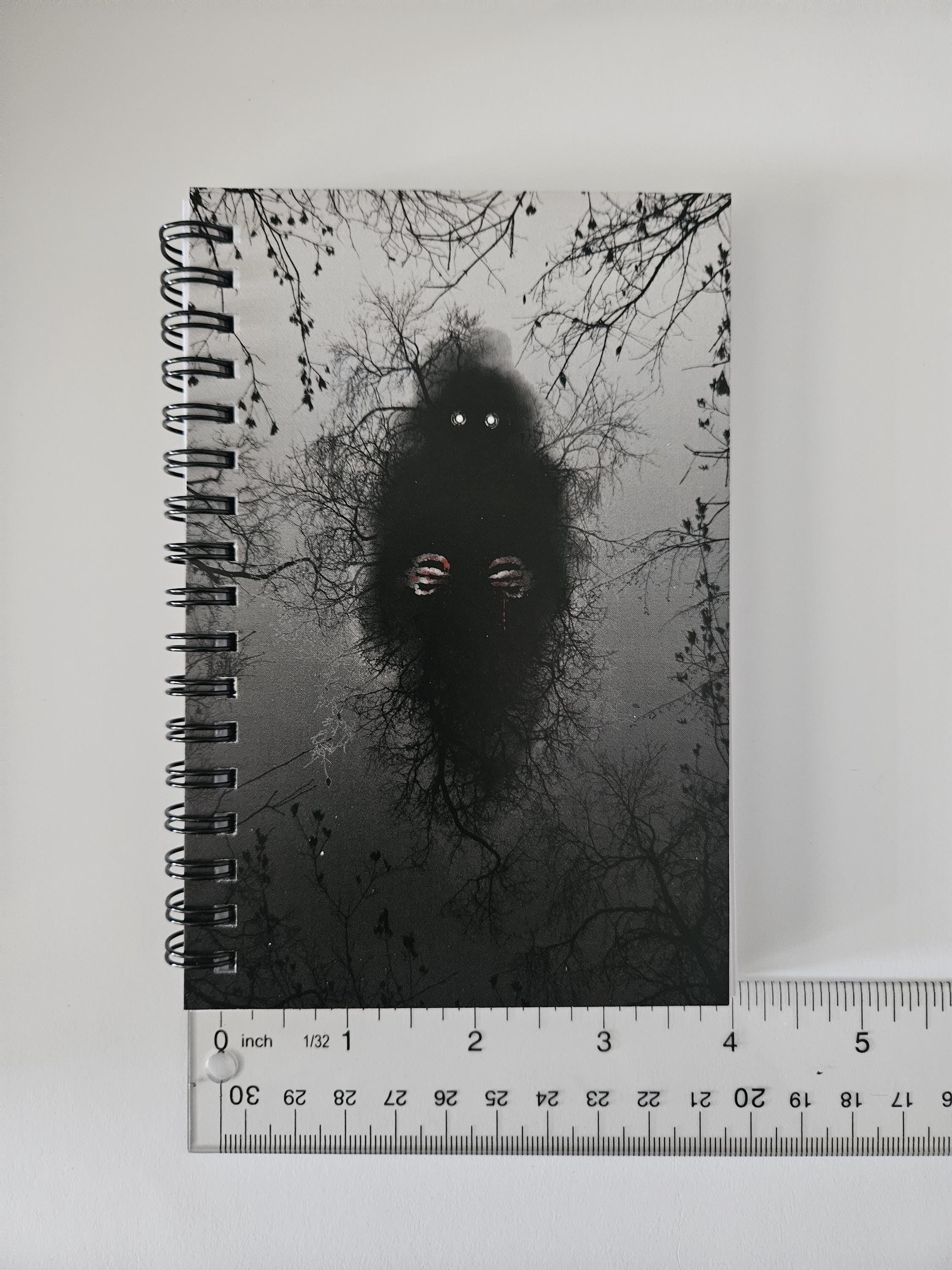 4x6 HANDMADE SPIRAL NOTEBOOK: The Lurker Acornandcrowstudio