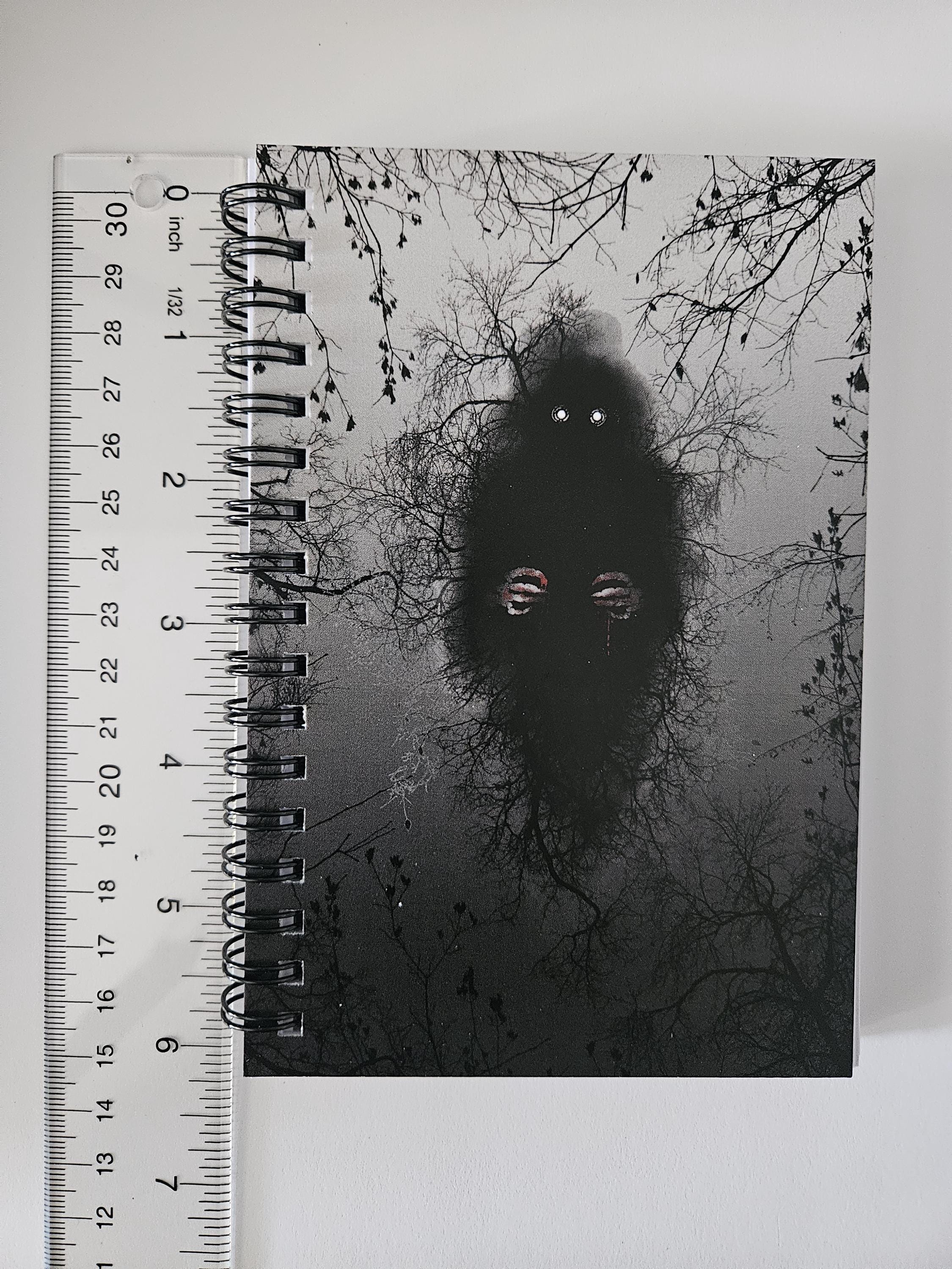 4x6 HANDMADE SPIRAL NOTEBOOK: The Lurker Acornandcrowstudio