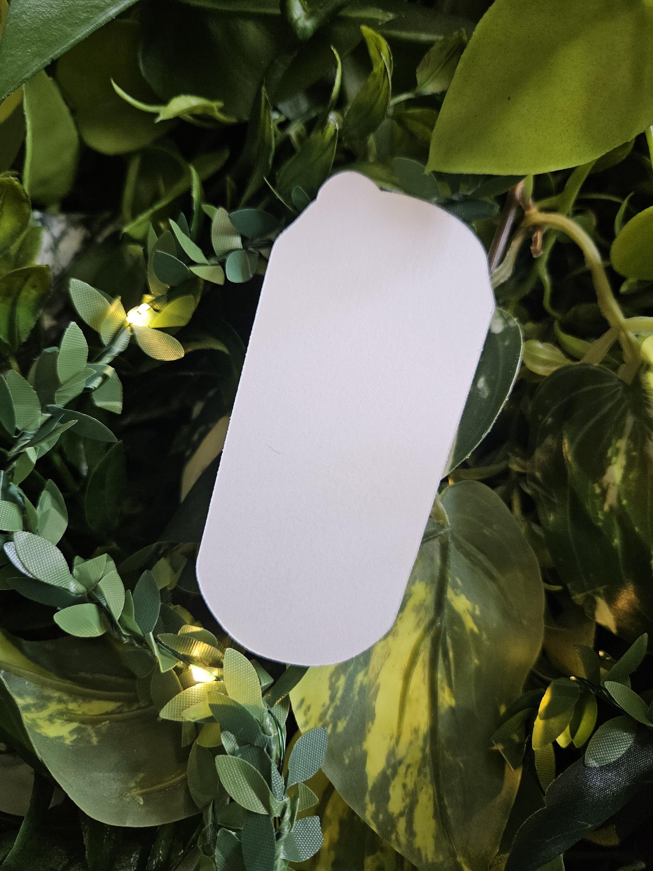 MATTE STICKER: Anxietea Teal and Pink 'Tea' Can Acornandcrowstudio