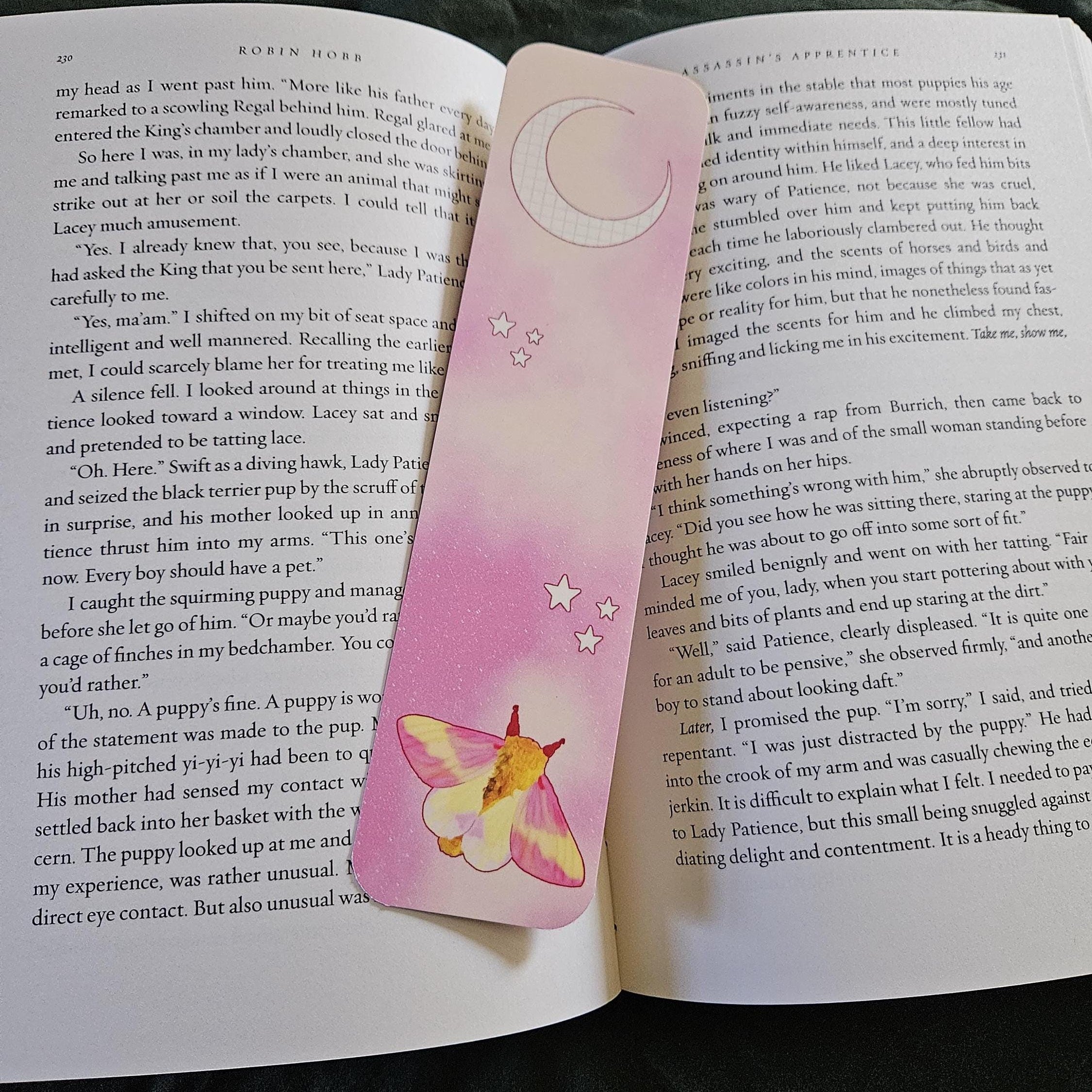 BOOKMARK: Rosy Maple Moth and Celestial Moon Acornandcrowstudio