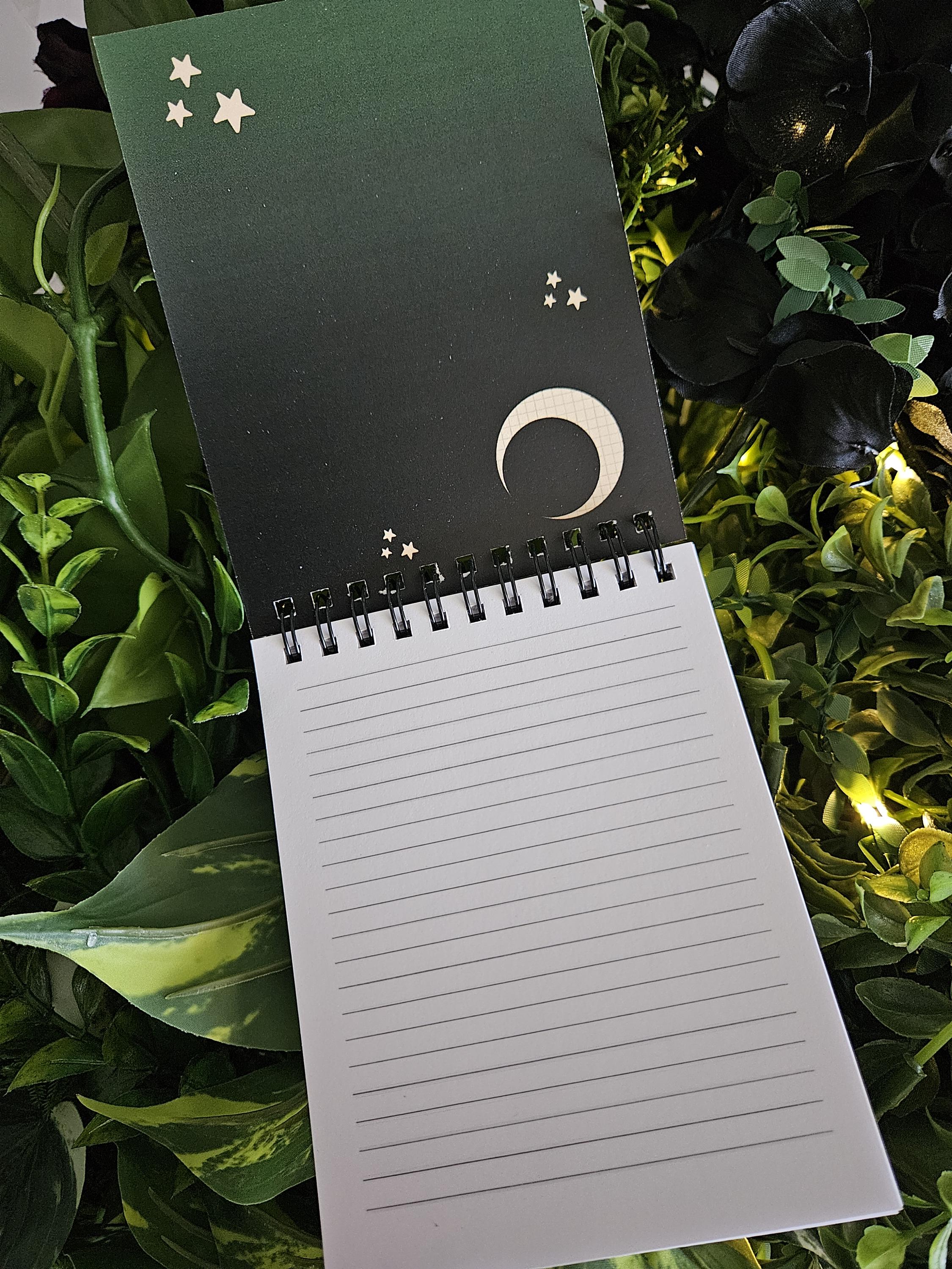 4x5 TOP BOUND Handmade Spiral NOTEBOOK: Luna Moth and Moon Acornandcrowstudio