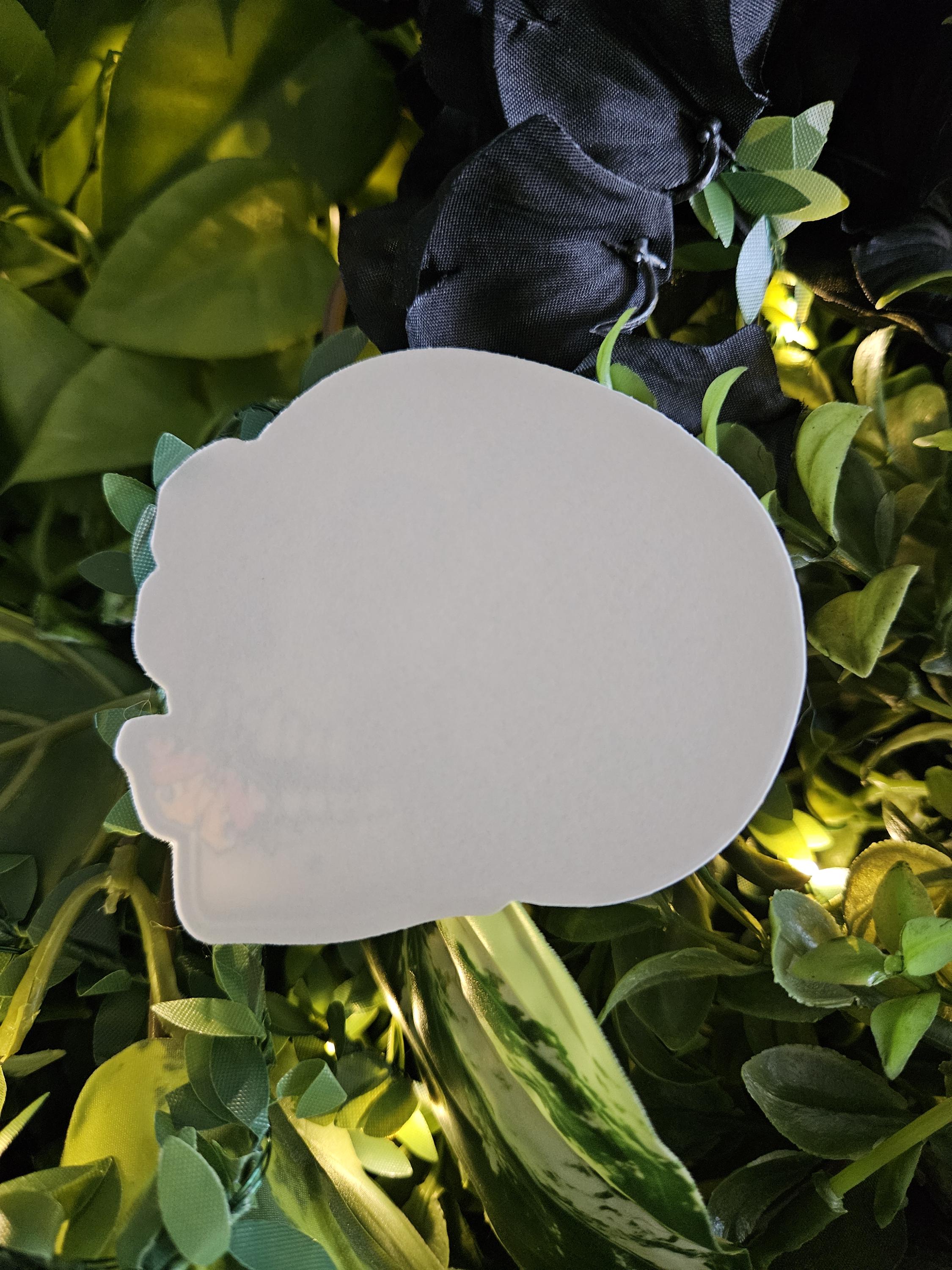 MATTE STICKER: Flourish Skull with Zinnia and Peacock Butterflies , Skull Sticker , Sketchy Skull Art , Floral Skull Sticker Acornandcrowstudio