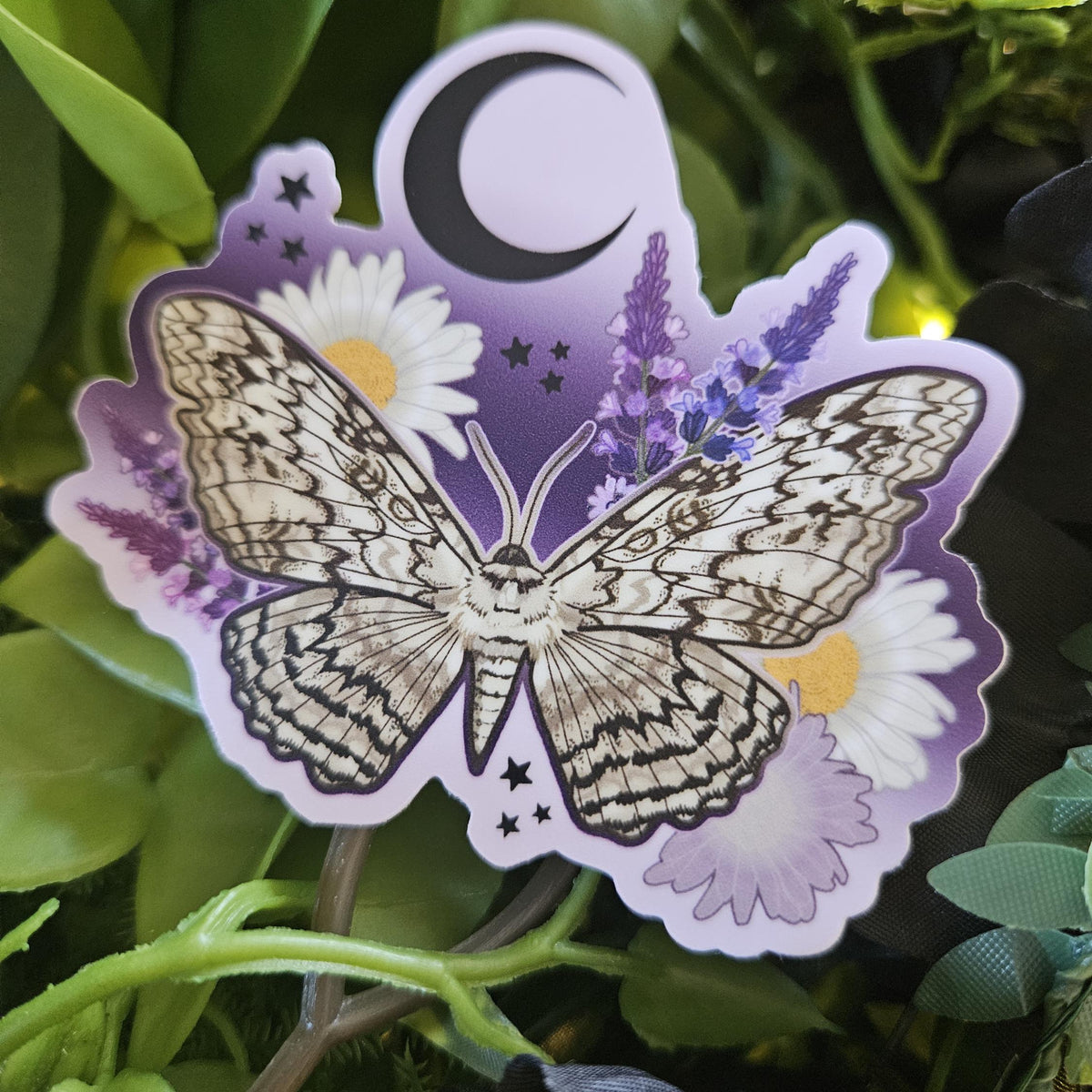 MATTE STICKER: White Witch Moth with Daisies and Lavender