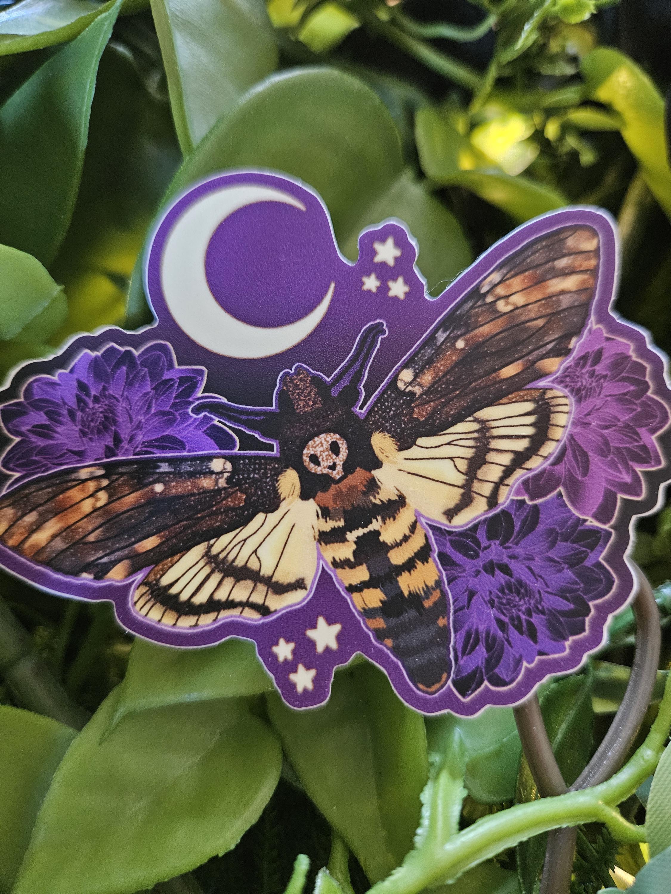 MATTE STICKER: Hawk Moth with Dahlias Acornandcrowstudio