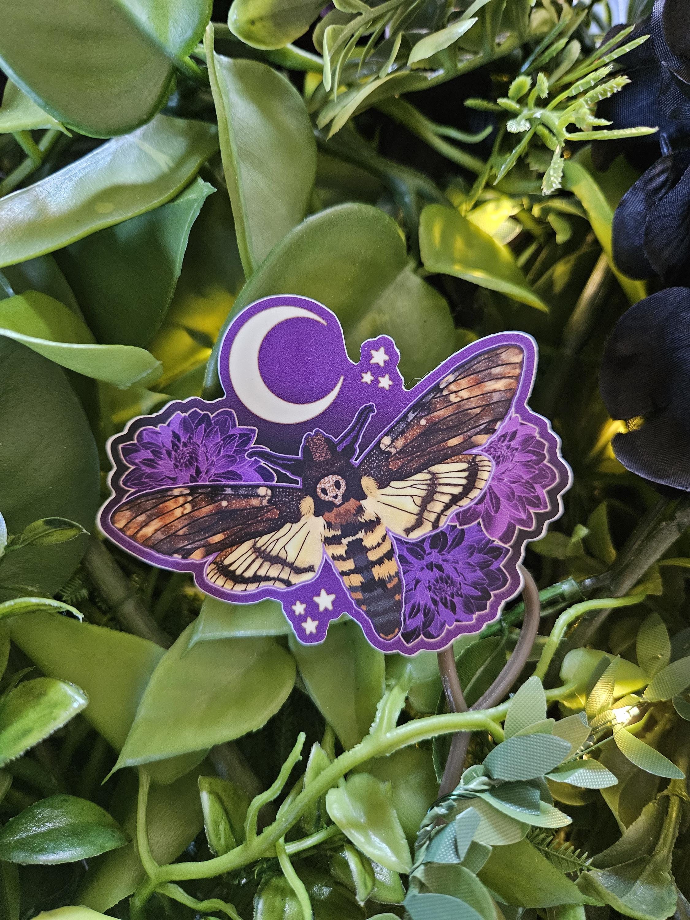 MATTE STICKER: Hawk Moth with Dahlias Acornandcrowstudio