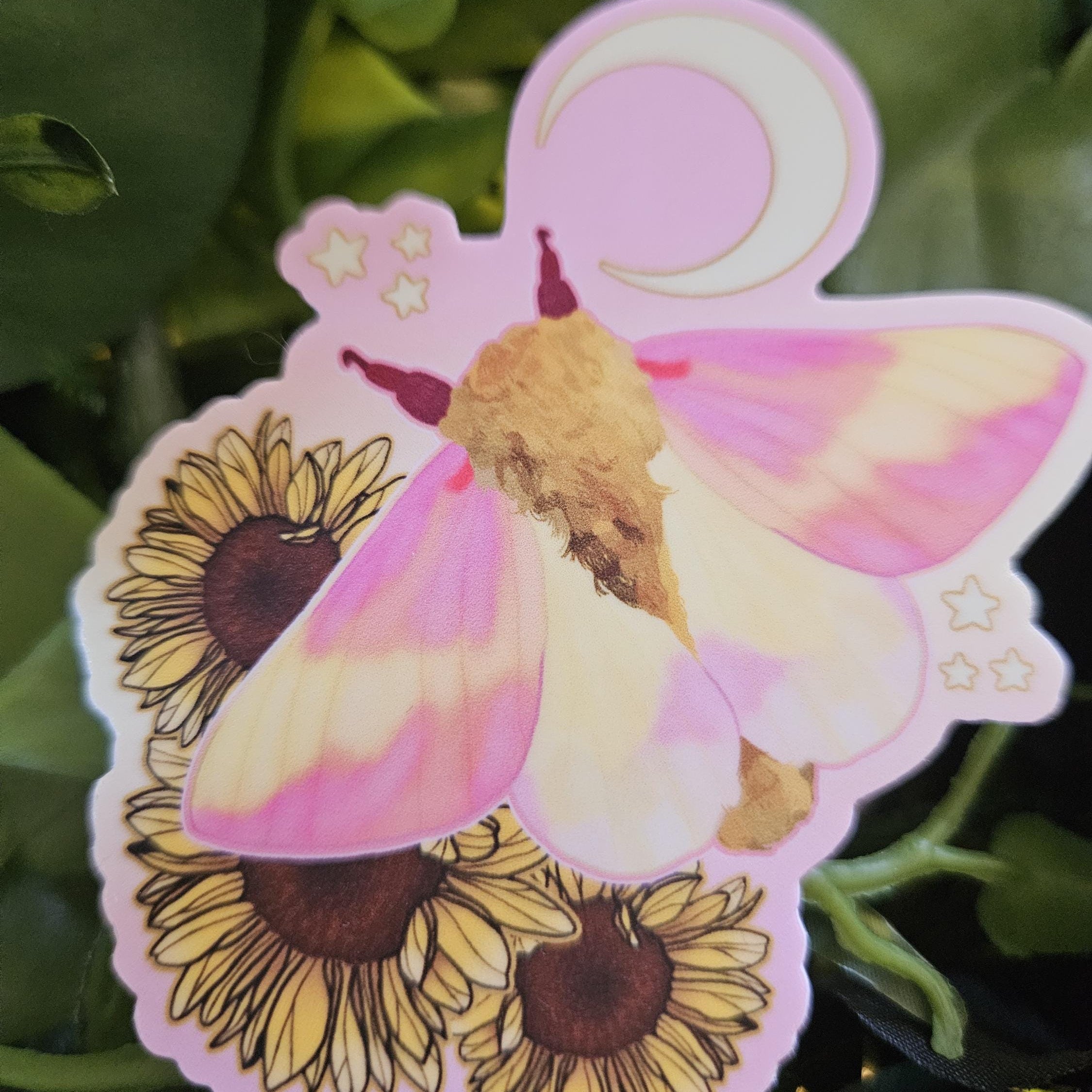MATTE STICKER: Rosy Maple Moth and Sunflowers