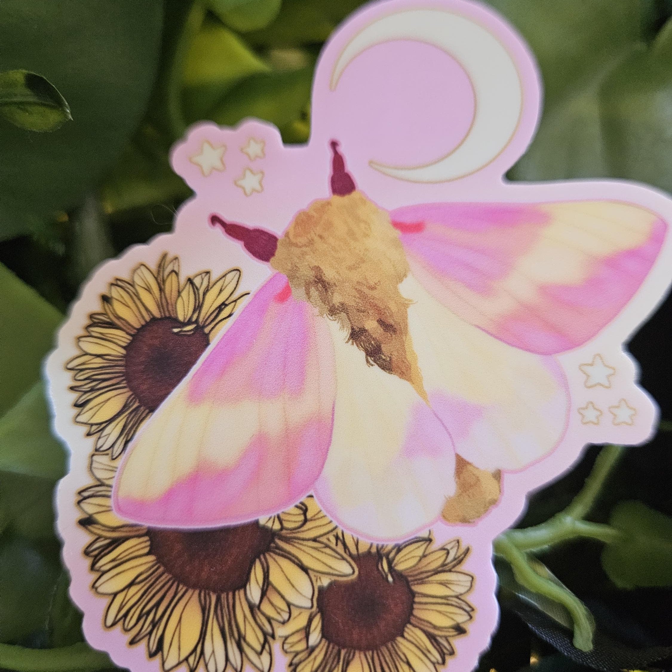 MATTE STICKER: Rosy Maple Moth and Sunflowers Acornandcrowstudio