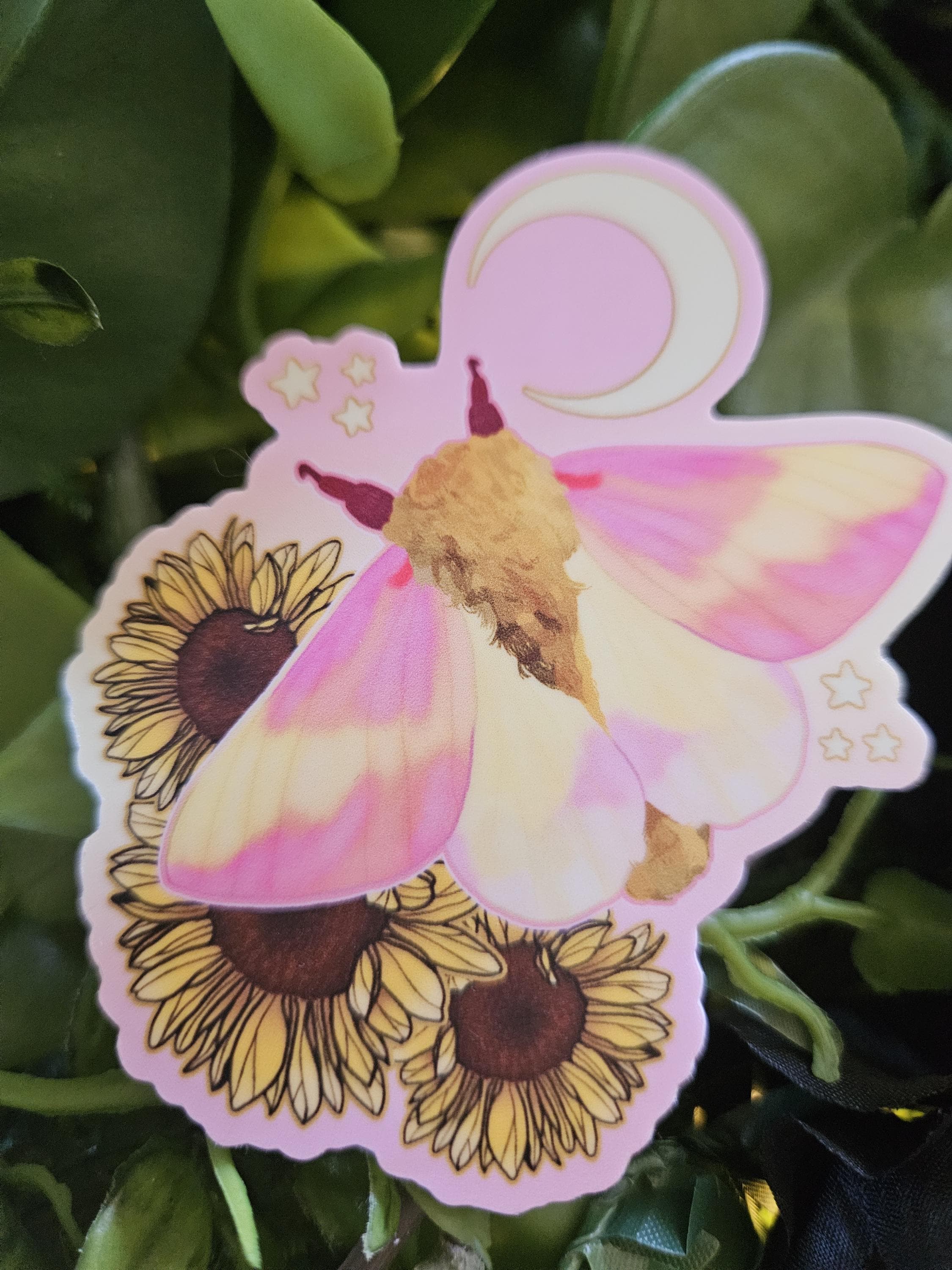 MATTE STICKER: Rosy Maple Moth and Sunflowers Acornandcrowstudio