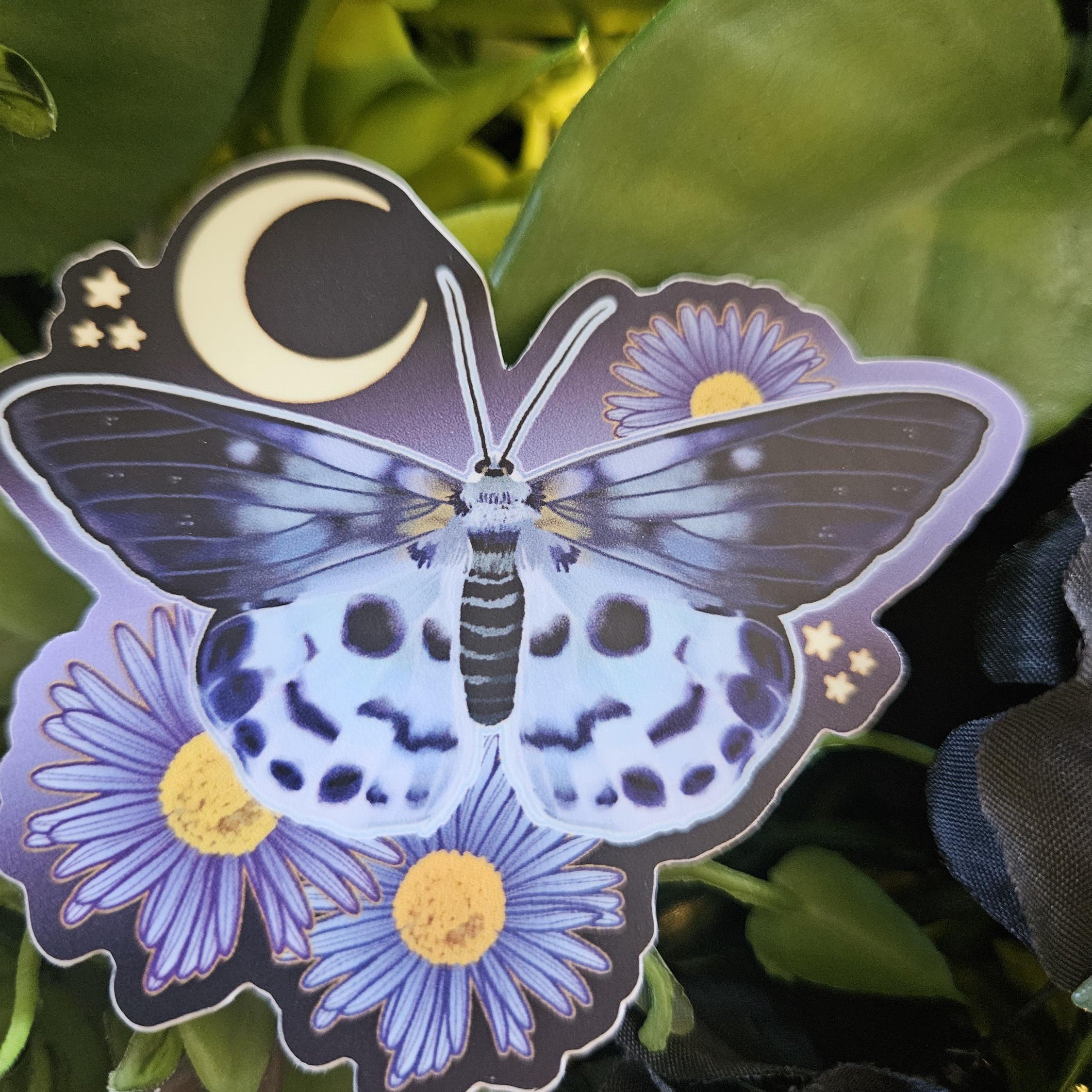 MATTE STICKER: Blue Tiger Moth with Aster Flowers Acornandcrowstudio