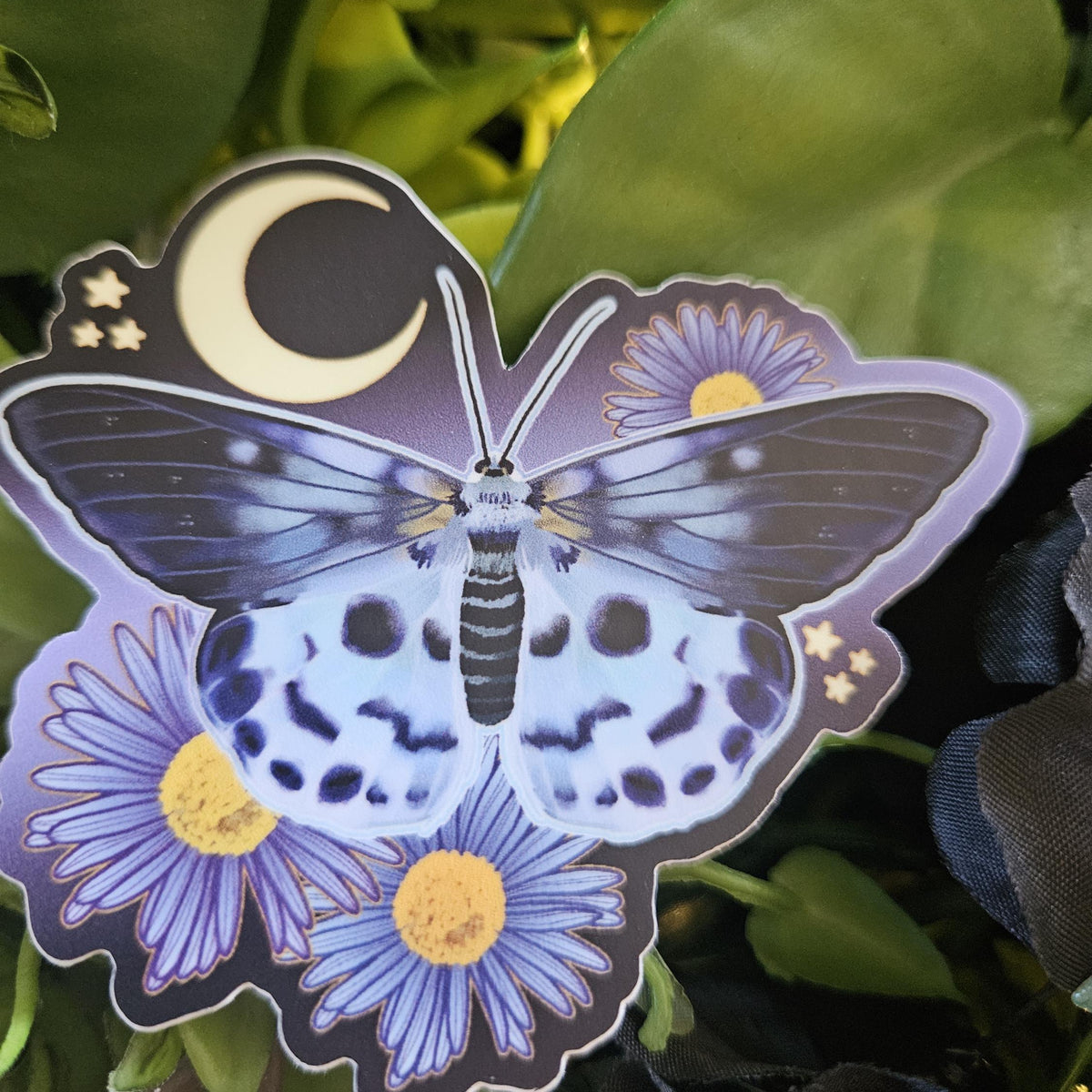 MATTE STICKER: Blue Tiger Moth with Aster Flowers