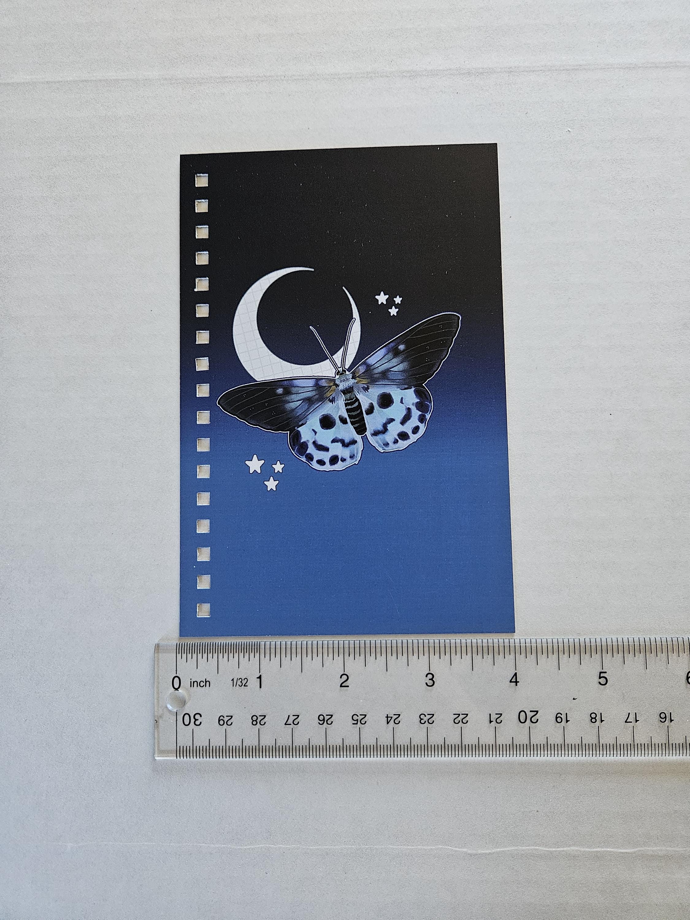 4x6 HANDMADE SPIRAL NOTEBOOK: Blue Tiger Moth Acornandcrowstudio