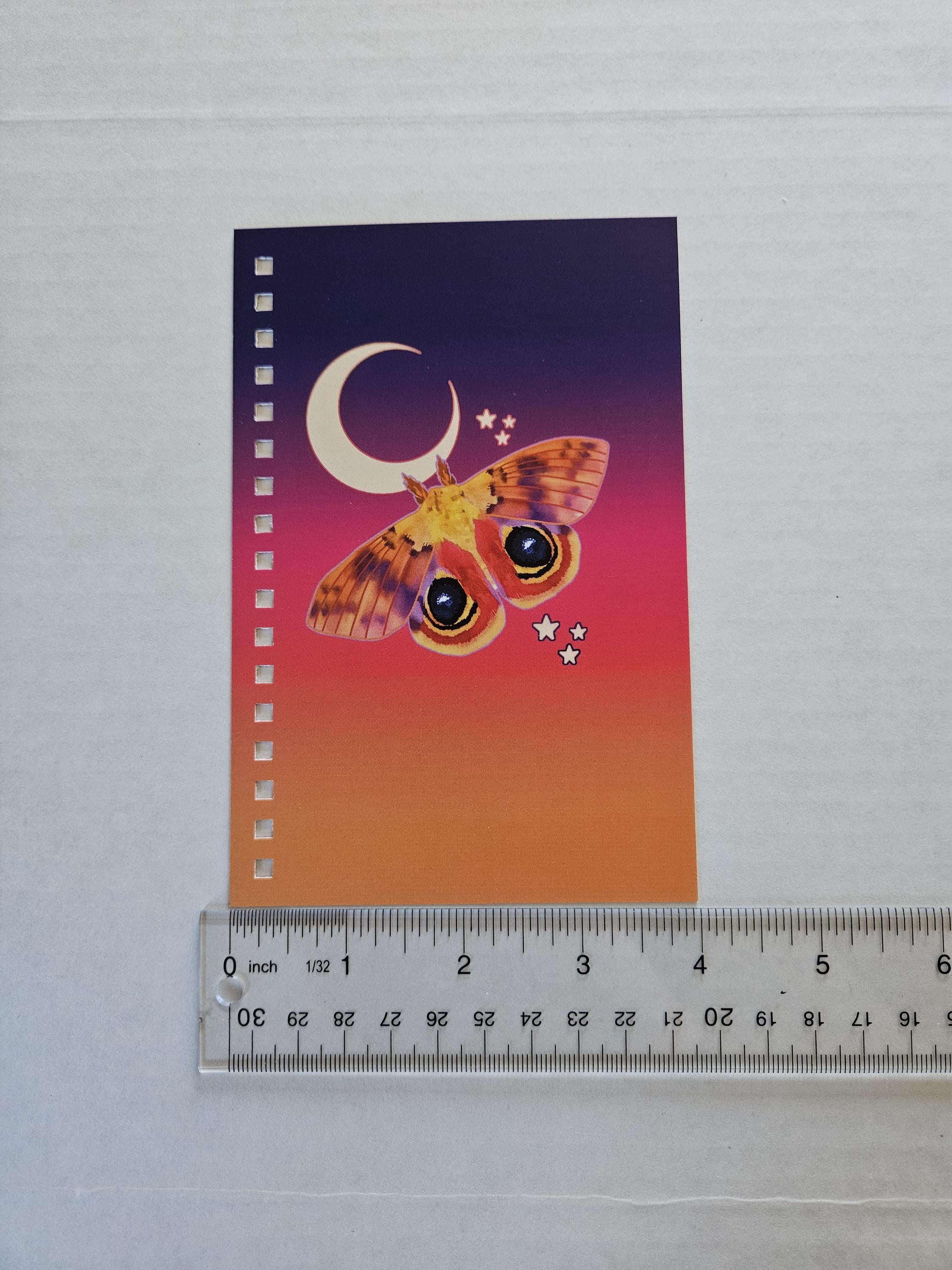 4x6 HANDMADE SPIRAL NOTEBOOK: Io Moth Acornandcrowstudio
