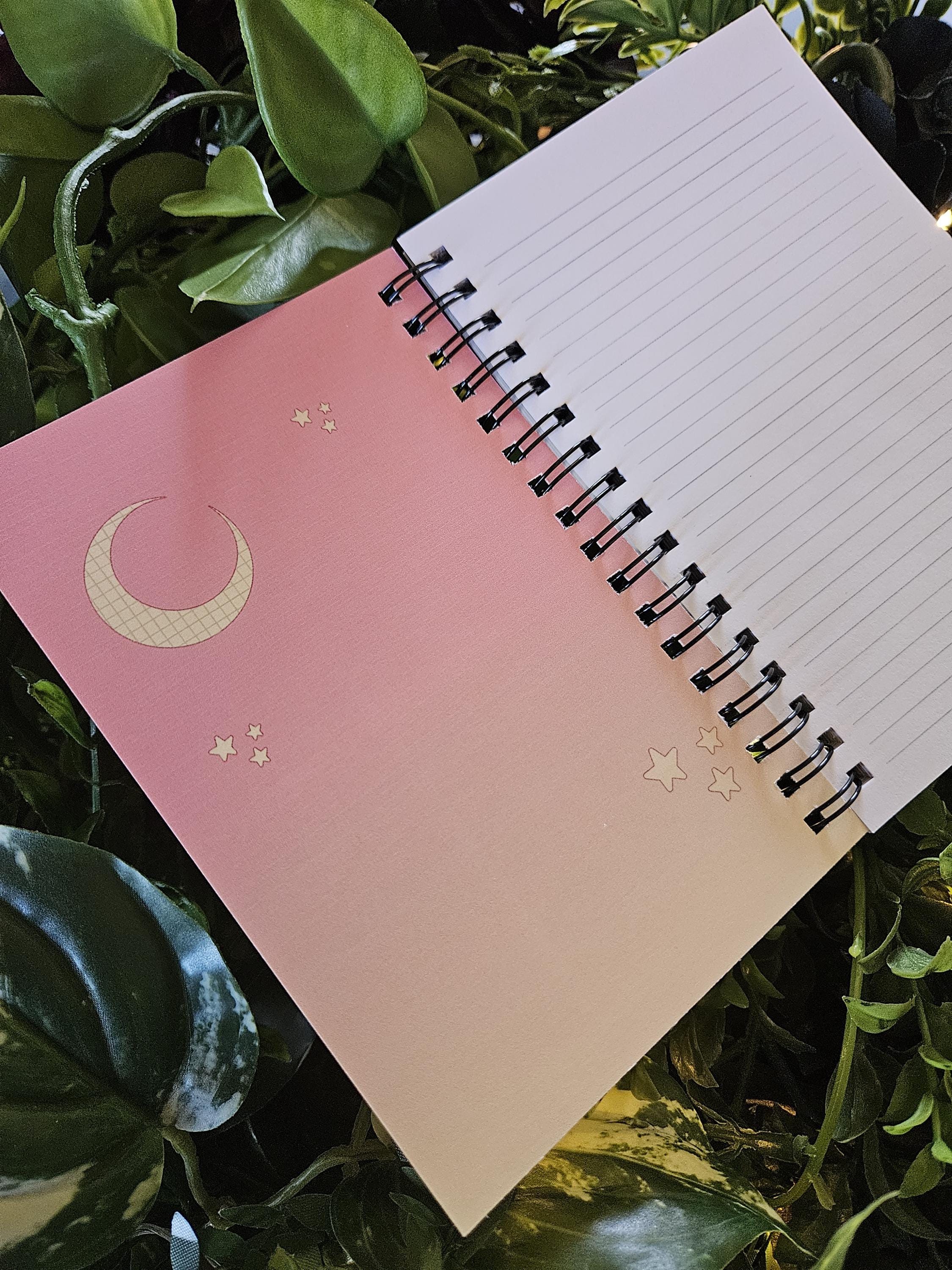4x6 HANDMADE SPIRAL NOTEBOOK: Rosy Maple Moth Acornandcrowstudio