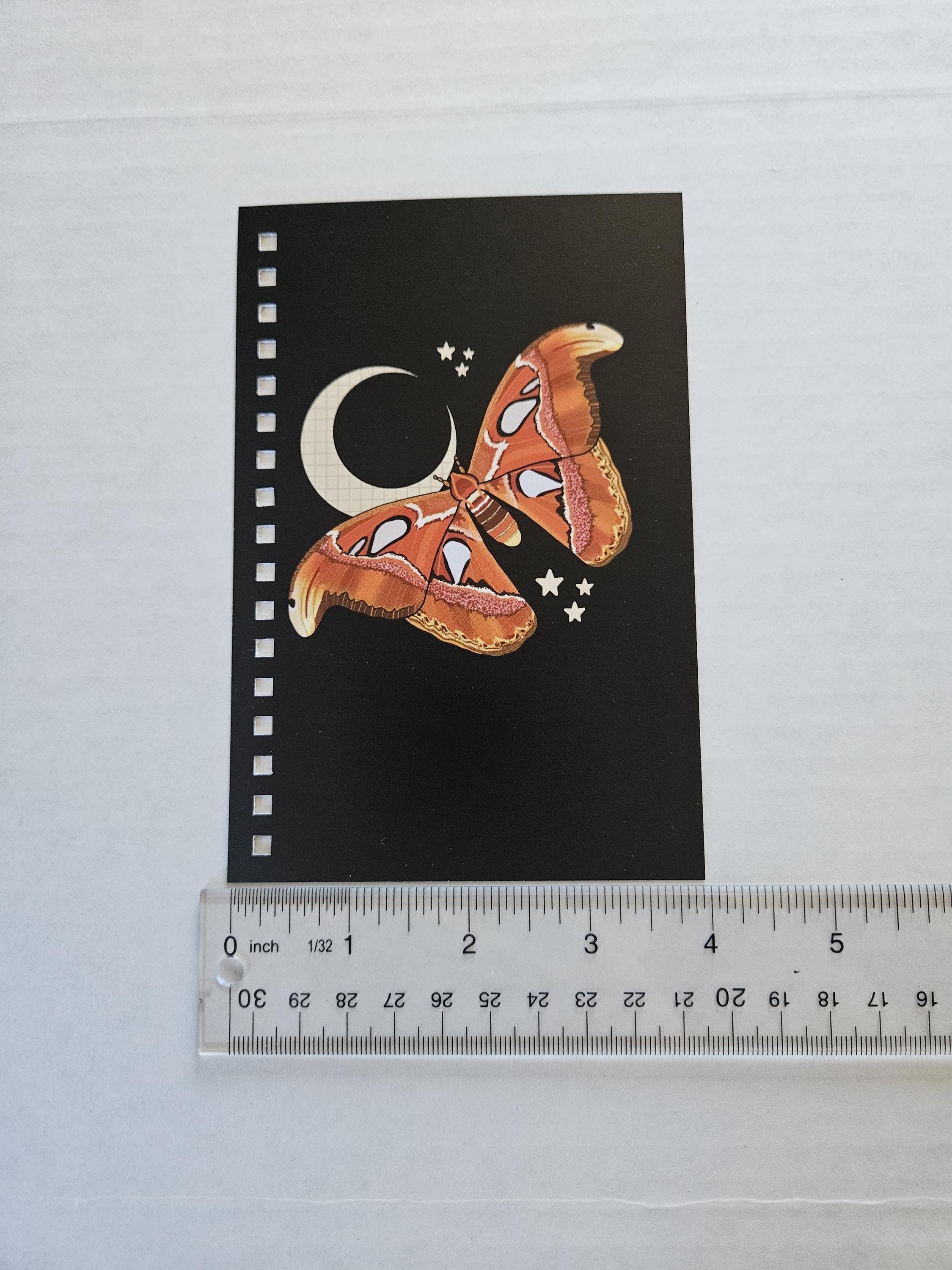 4x6 HANDMADE SPIRAL NOTEBOOK: Atlas Moth Acornandcrowstudio