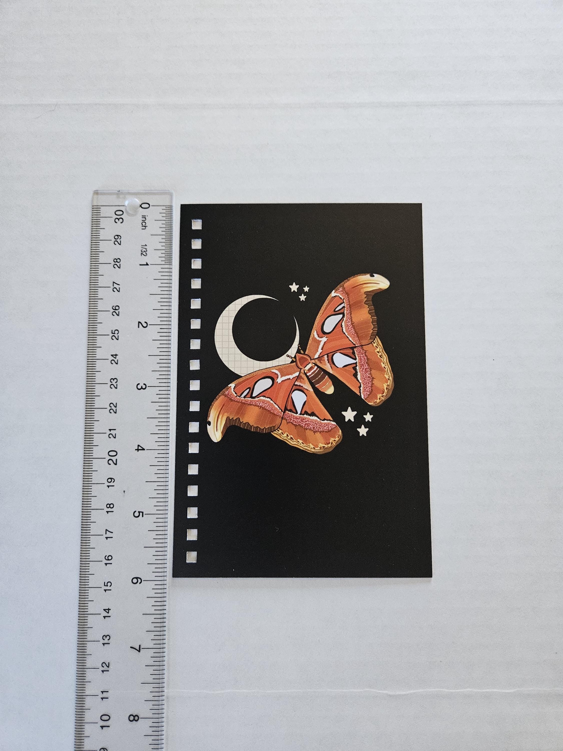 4x6 HANDMADE SPIRAL NOTEBOOK: Atlas Moth Acornandcrowstudio