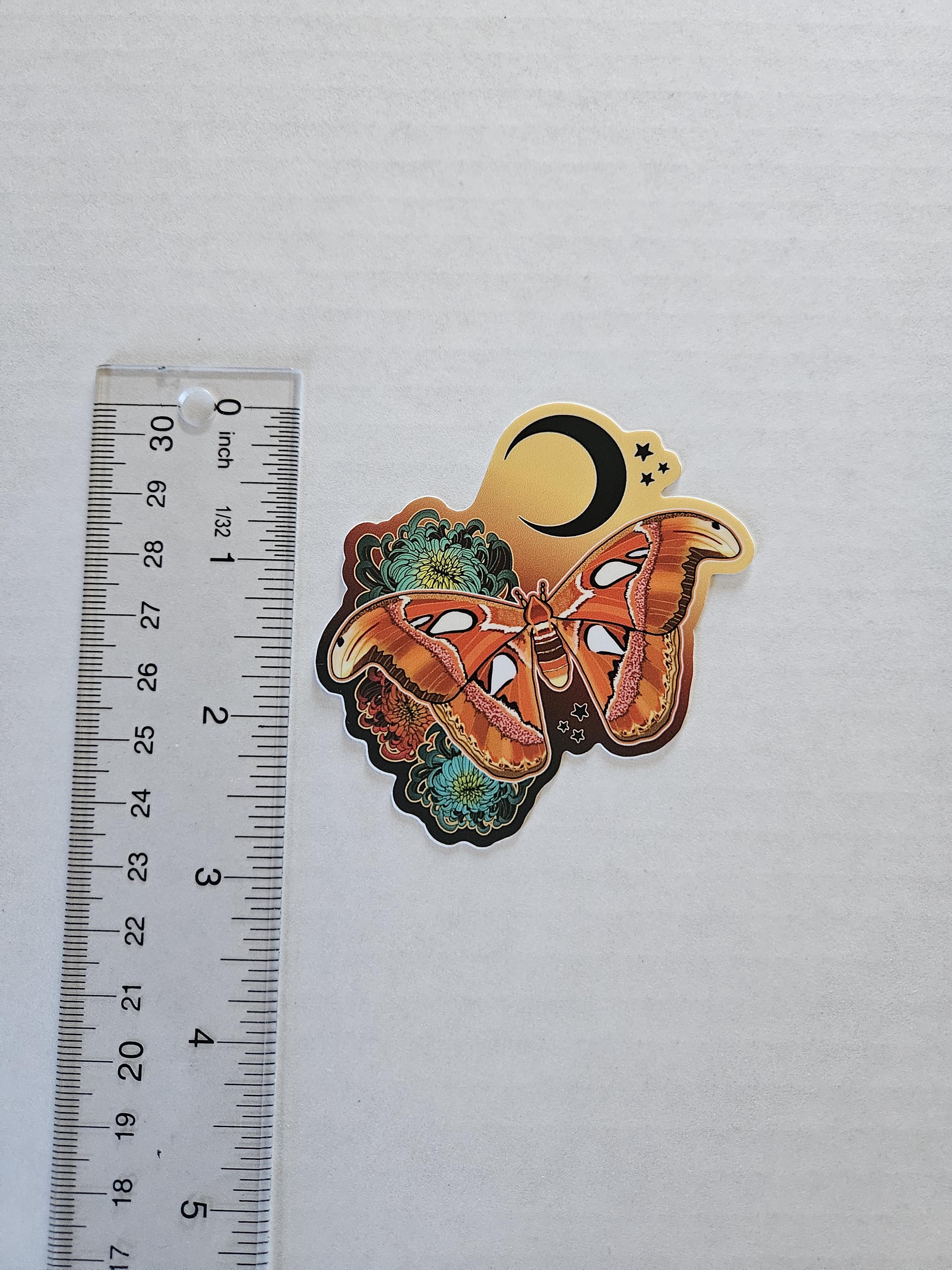 MATTE STICKER: Atlas Moth and Chrysanthemums Acornandcrowstudio