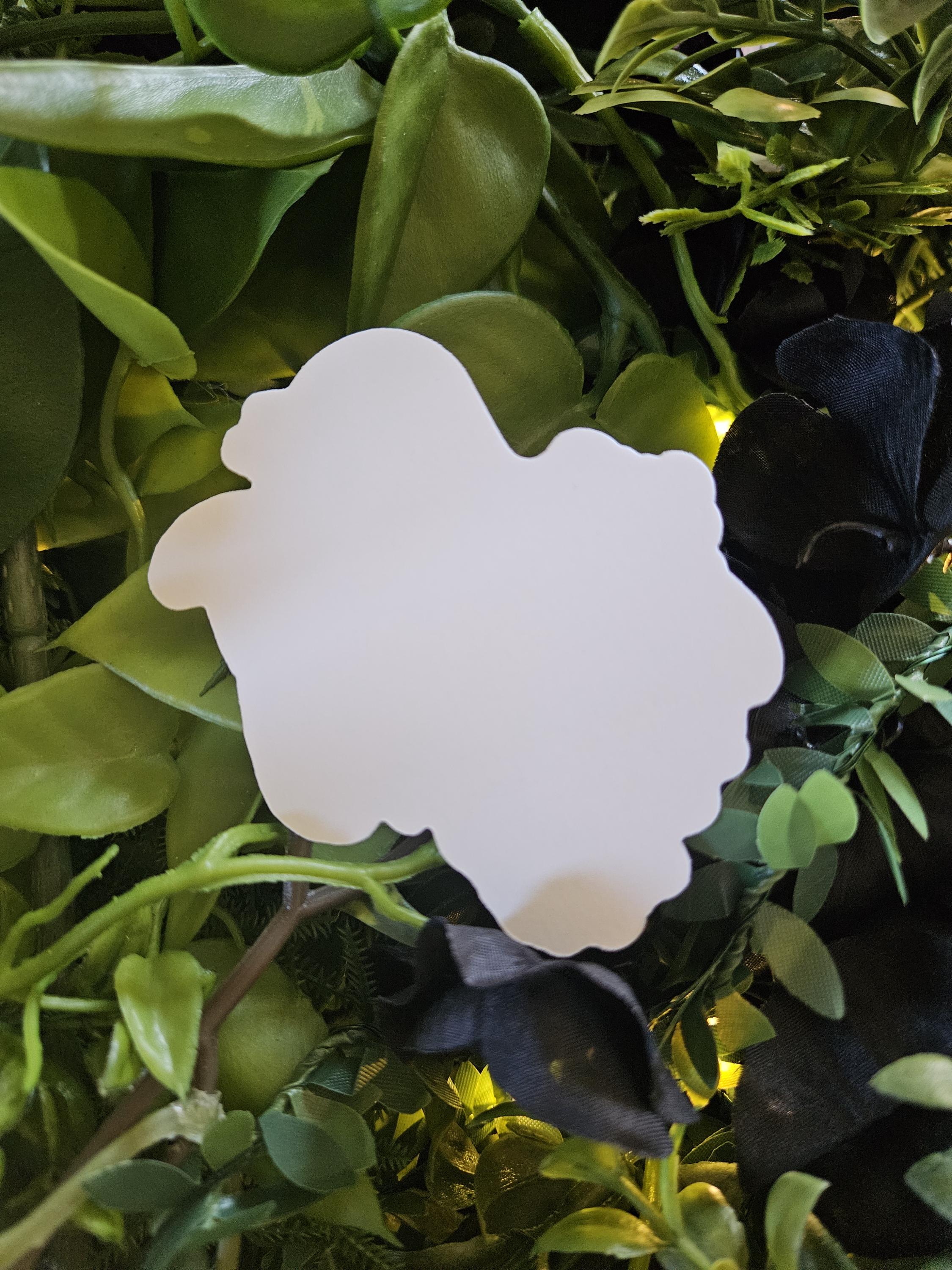 MATTE STICKER: Atlas Moth and Chrysanthemums Acornandcrowstudio