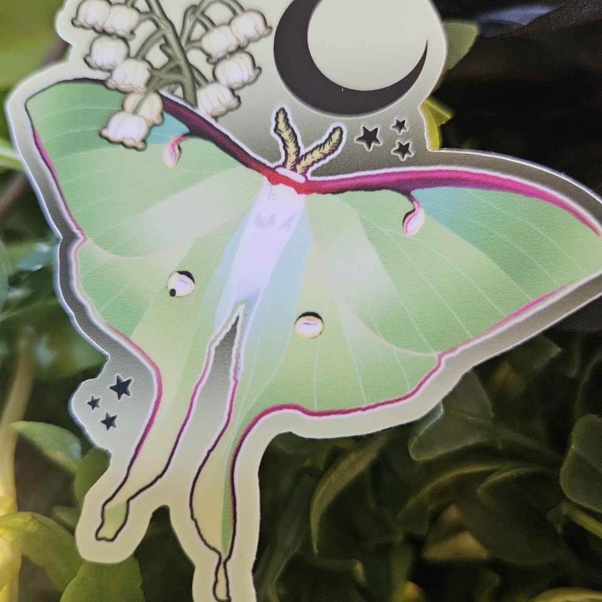 MATTE STICKER: Luna Moth and Lily of the Valley