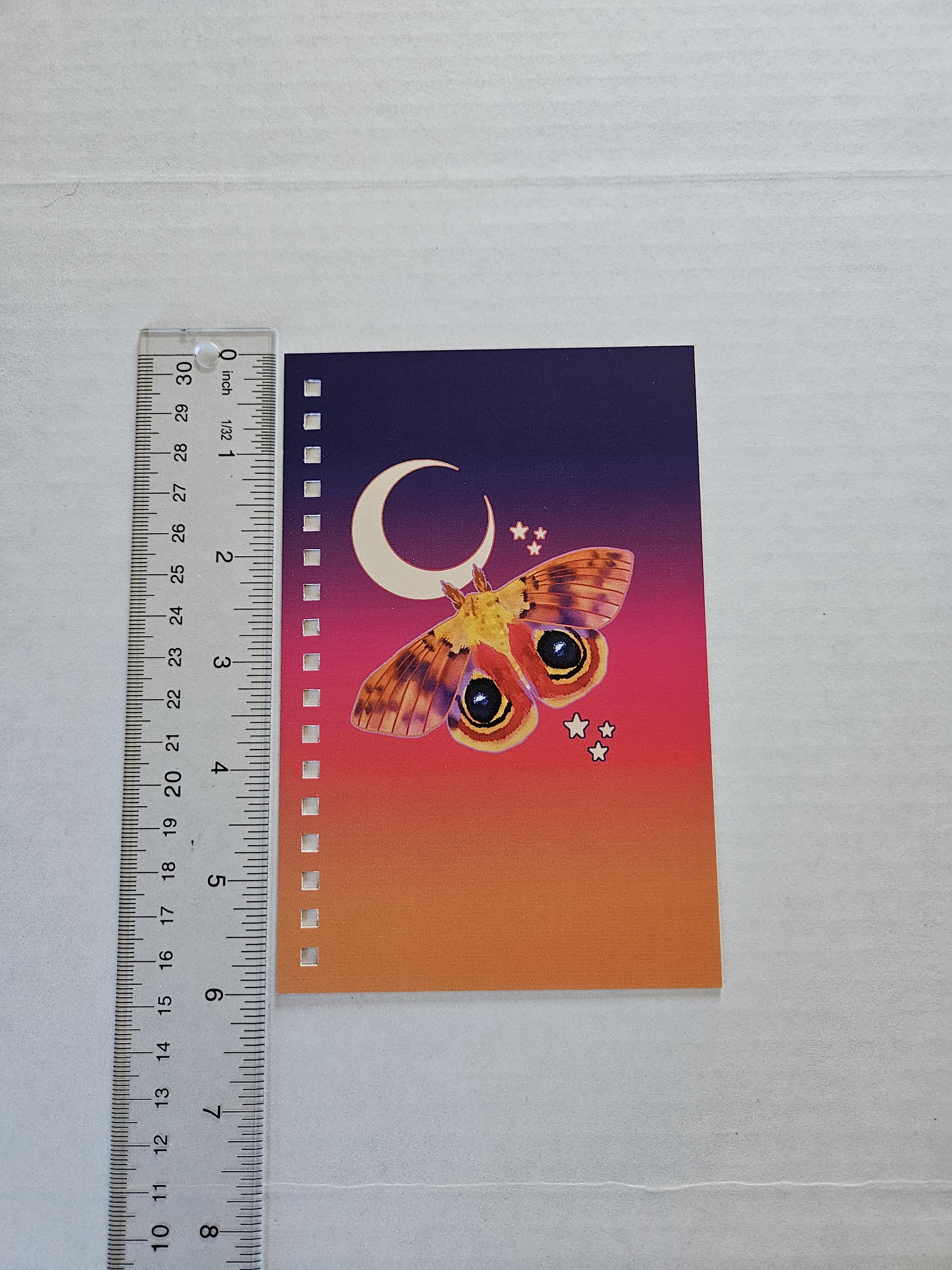 4x6 HANDMADE SPIRAL NOTEBOOK: Io Moth Acornandcrowstudio
