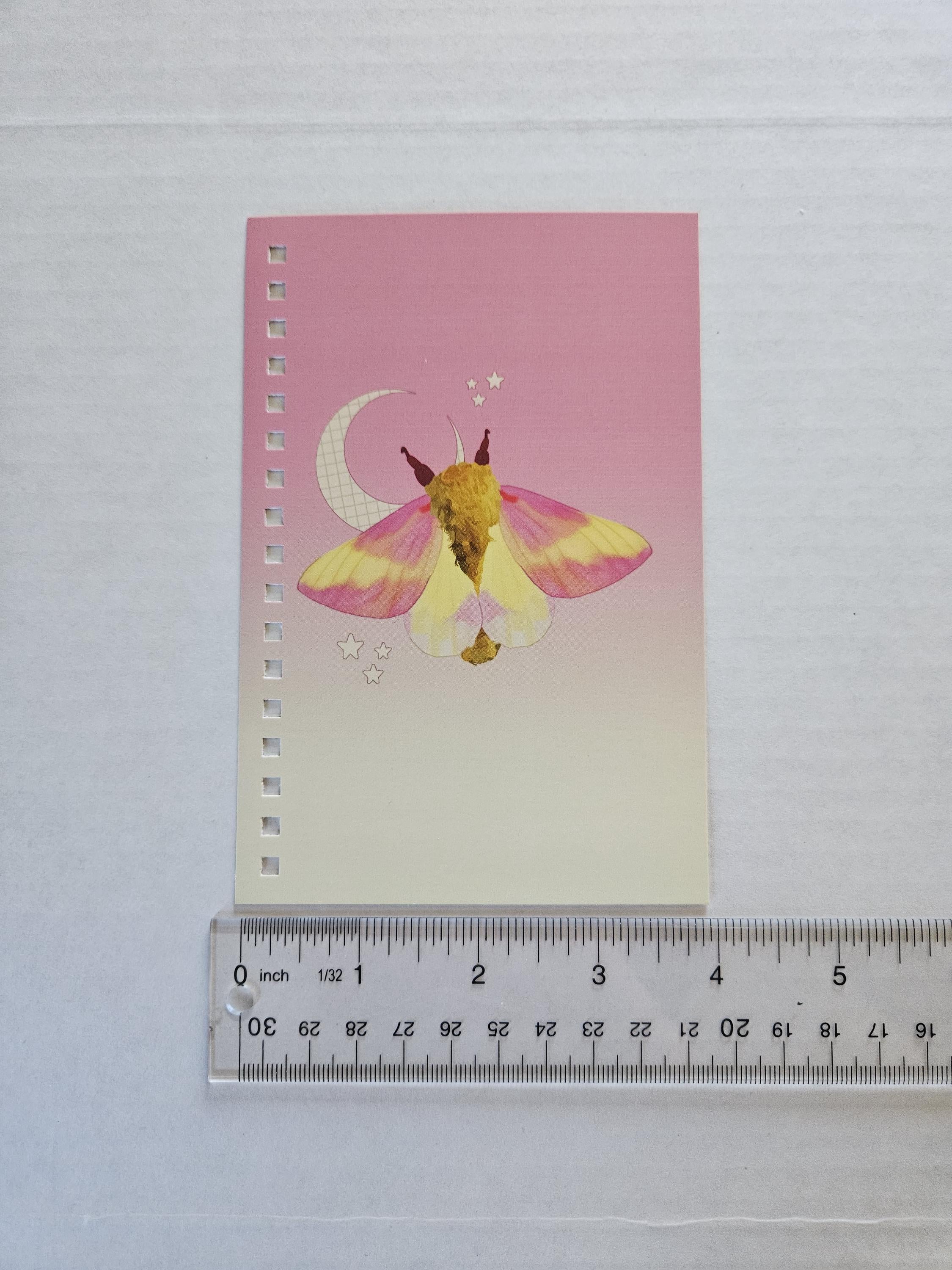 4x6 HANDMADE SPIRAL NOTEBOOK: Rosy Maple Moth Acornandcrowstudio