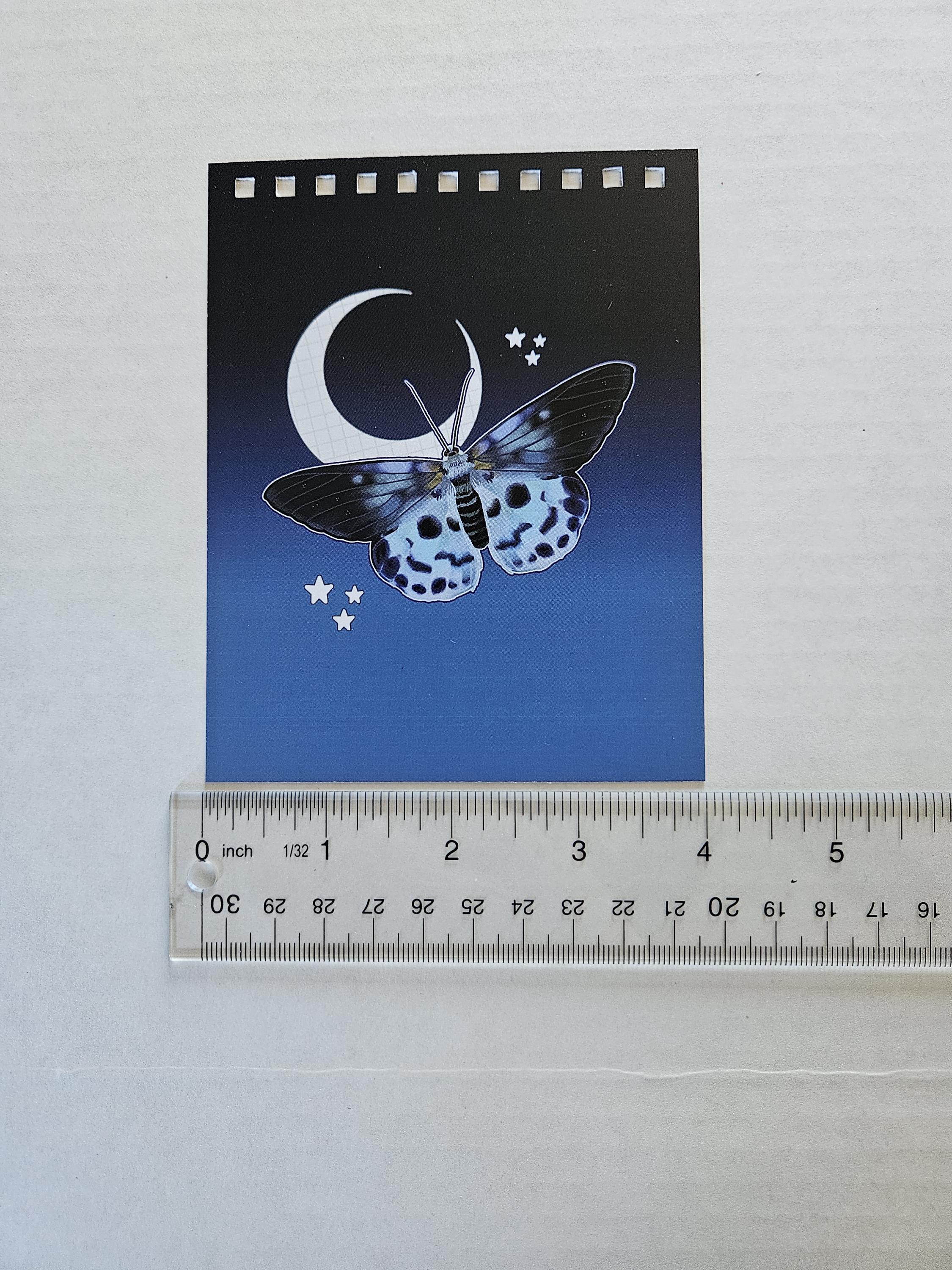 4x5 inches HANDMADE Top Bound SPIRAL NOTEBOOK: Blue Tiger Moth Acornandcrowstudio