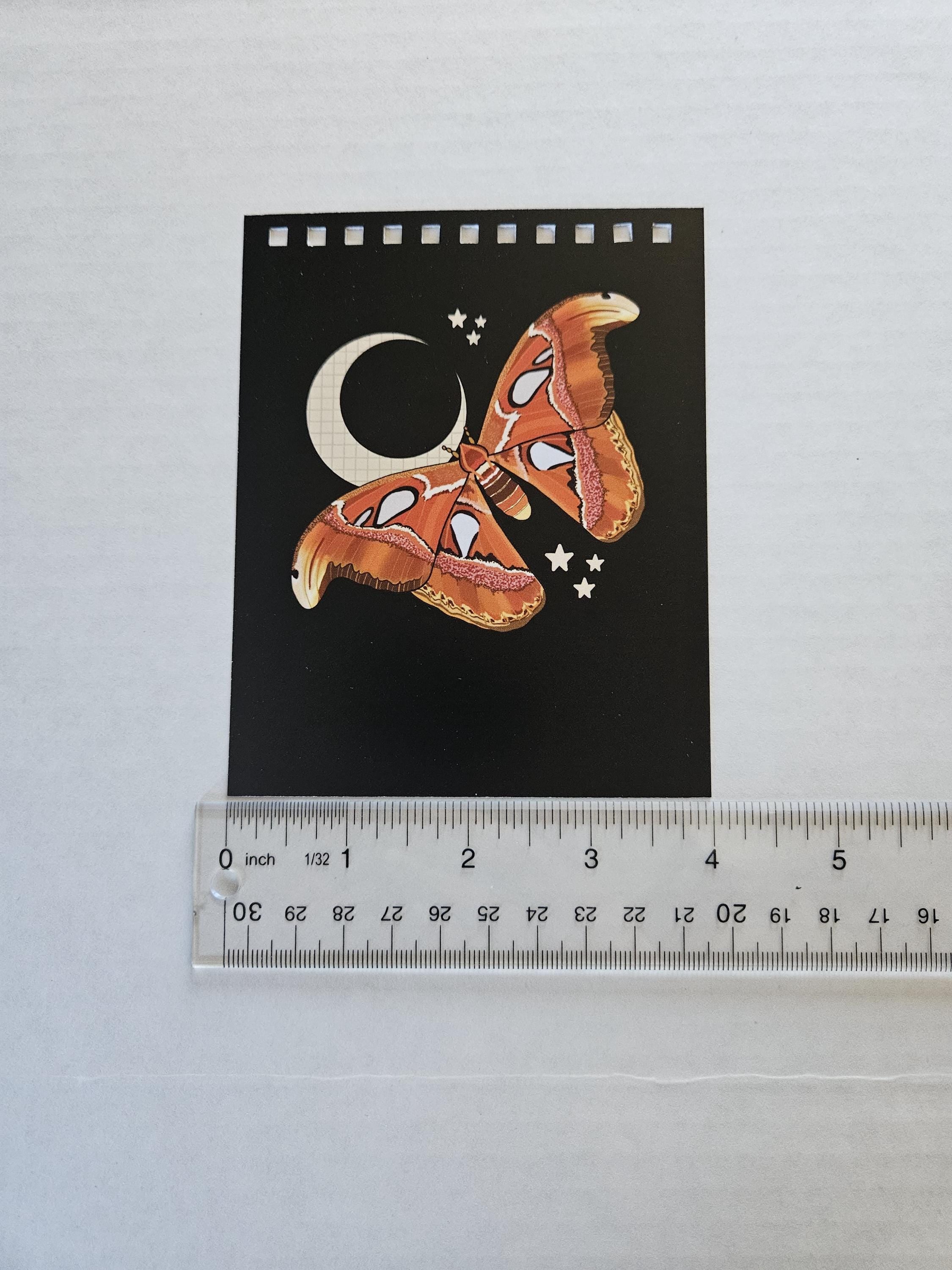 4x5 inches HANDMADE Top Bound SPIRAL NOTEBOOK: Atlas Moth Acornandcrowstudio