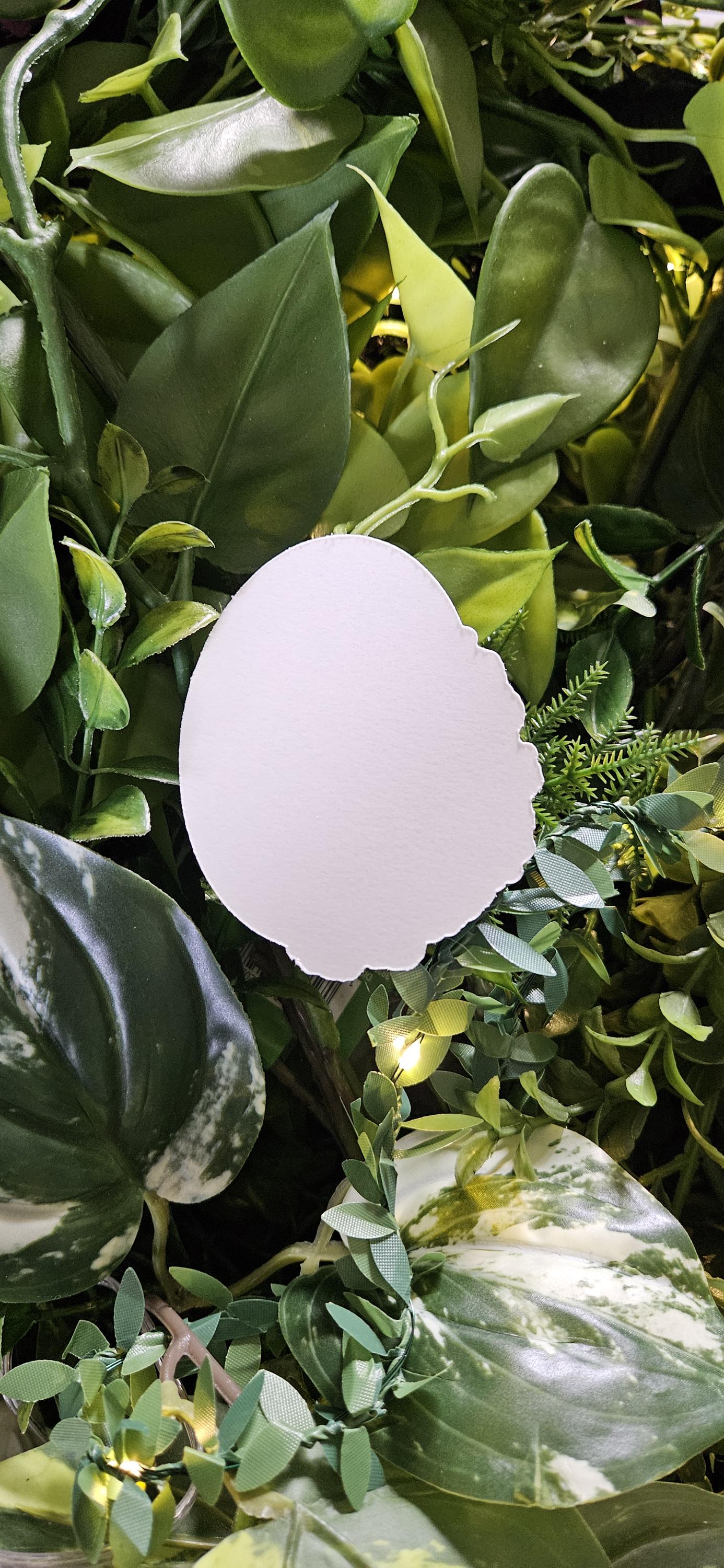 HOLOGRAPHIC STICKER: October Opal (Holographic Limited Edition) with Cosmos Acornandcrowstudio