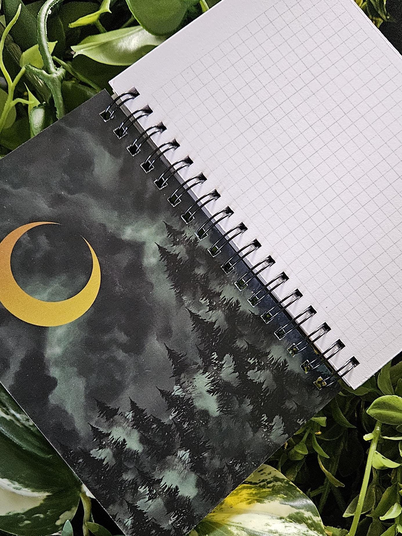 4x6 HANDMADE SPIRAL NOTEBOOK: Barn Owl and Dark Forest Acornandcrowstudio