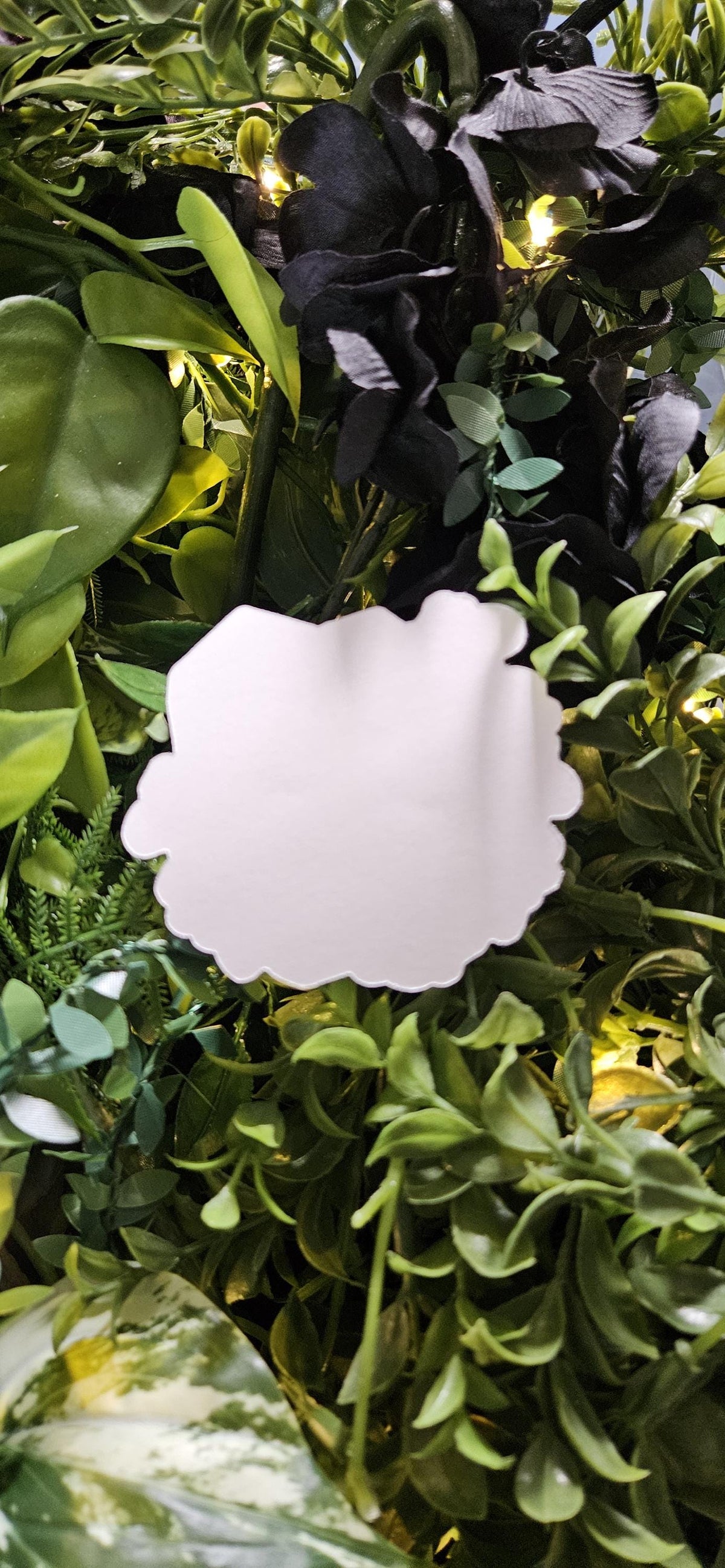 MATTE STICKER: August Peridot with Gladiolus Acornandcrowstudio