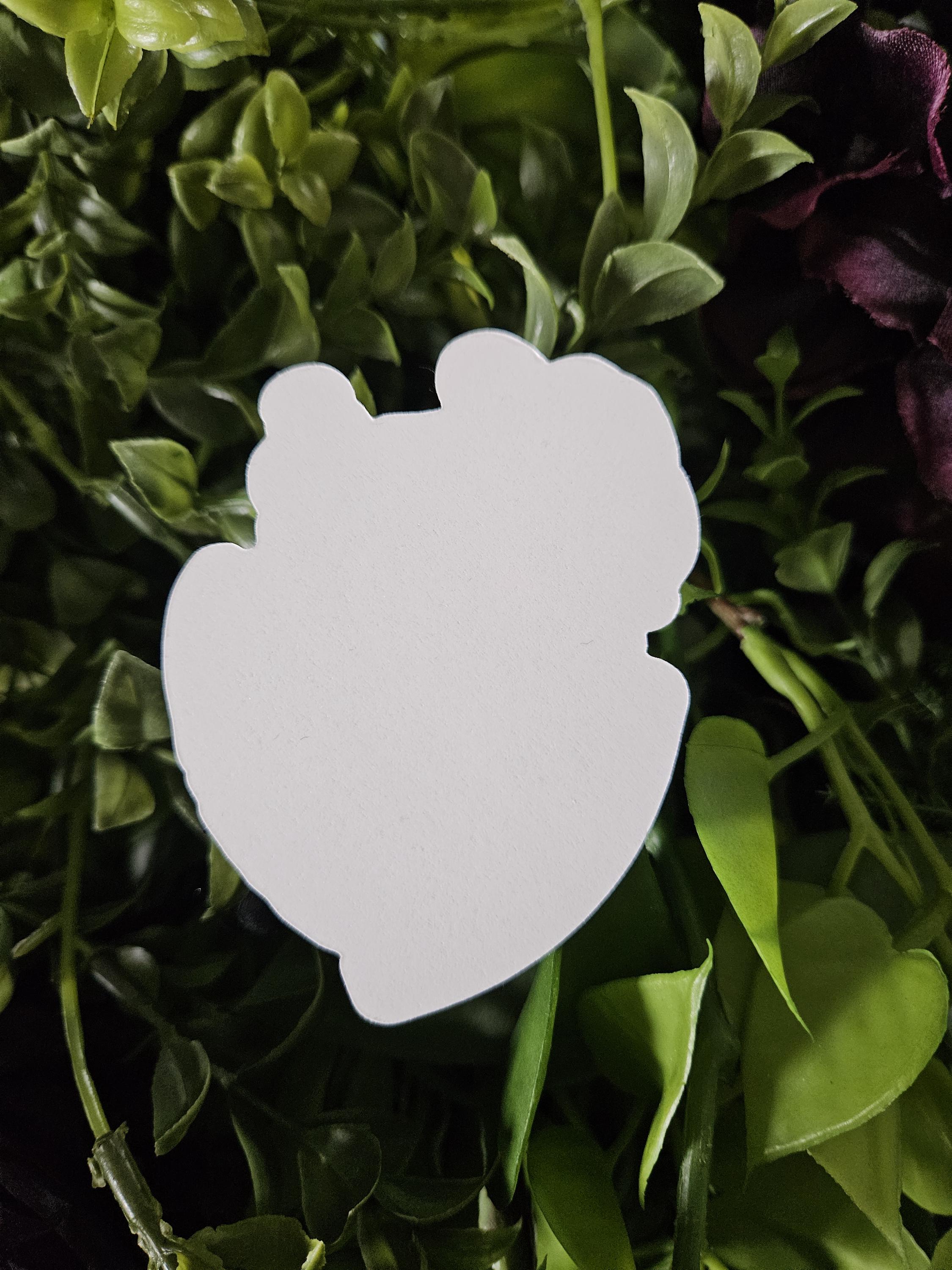 MATTE STICKER: Rootin' Tootin' Fruitin' Armadillo Pride Acornandcrowstudio