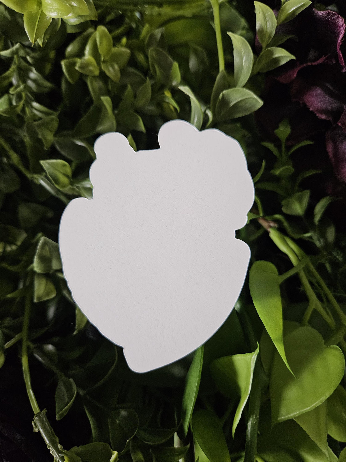 MATTE STICKER: Rootin' Tootin' Fruitin' Armadillo Pride