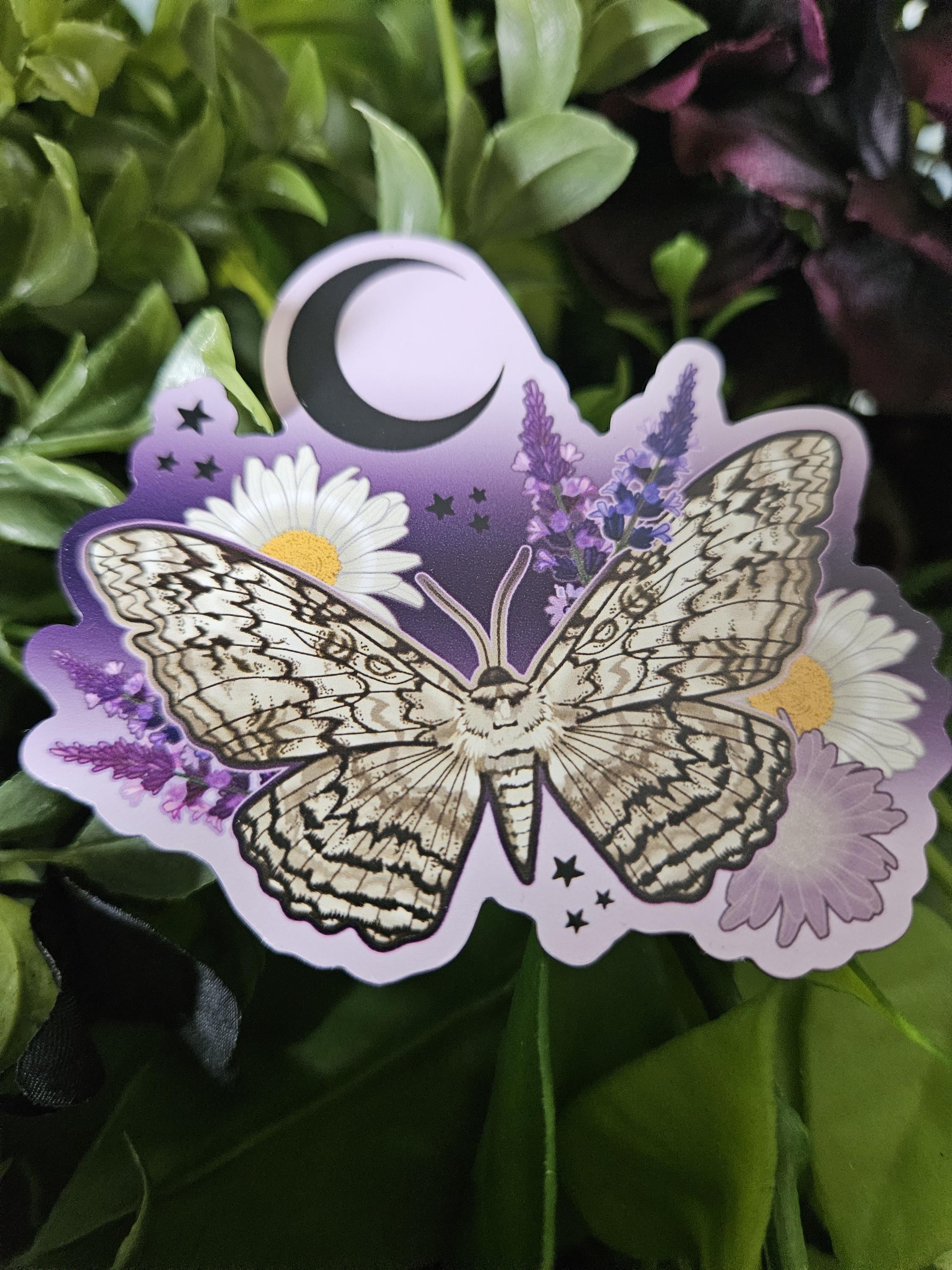 MAGNET: White Witch Moth with Lavender and Daisies Acornandcrowstudio