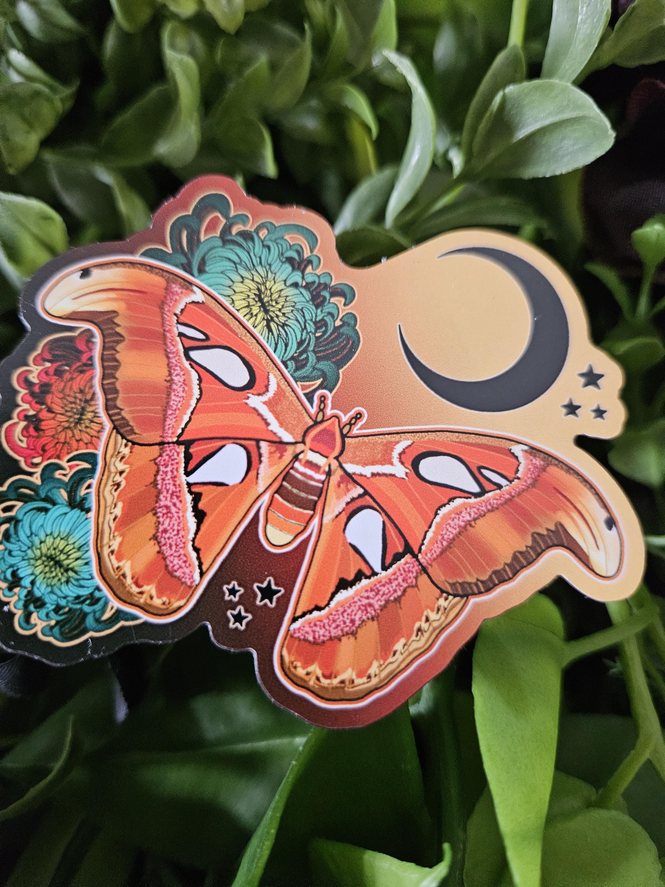 MAGNET: Atlas Moth and Chrysanthemums Acornandcrowstudio