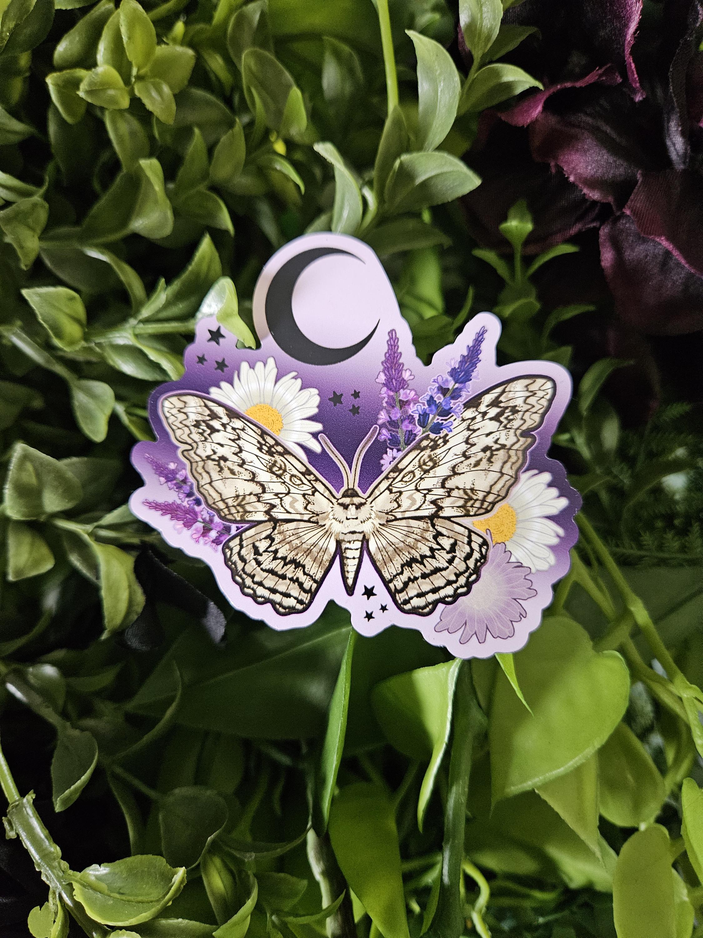 MAGNET: White Witch Moth with Lavender and Daisies Acornandcrowstudio