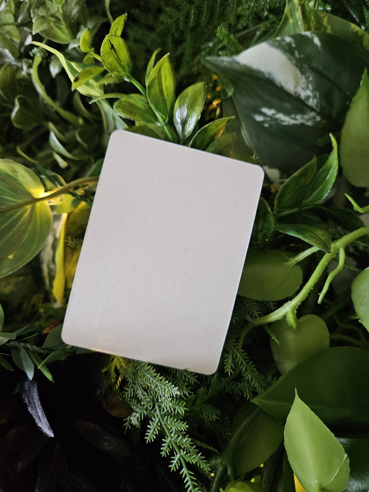 MATTE STICKER: Why Are You So Loud? - July Stationery Club STICKER Only
