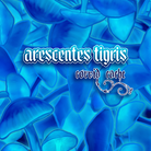 The Corvid Cache - Arescentes Tigris (April) Acornandcrowstudio