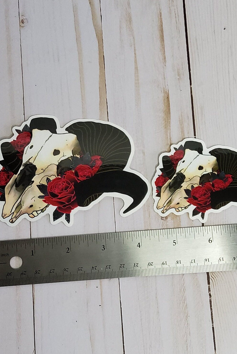 GLOSSY STICKER: Ram Skull and Roses Sticker , Ram Skull Sticker ,Tattoo Style Skull and Roses Sticker , Skull Stickers , Roses Stickers