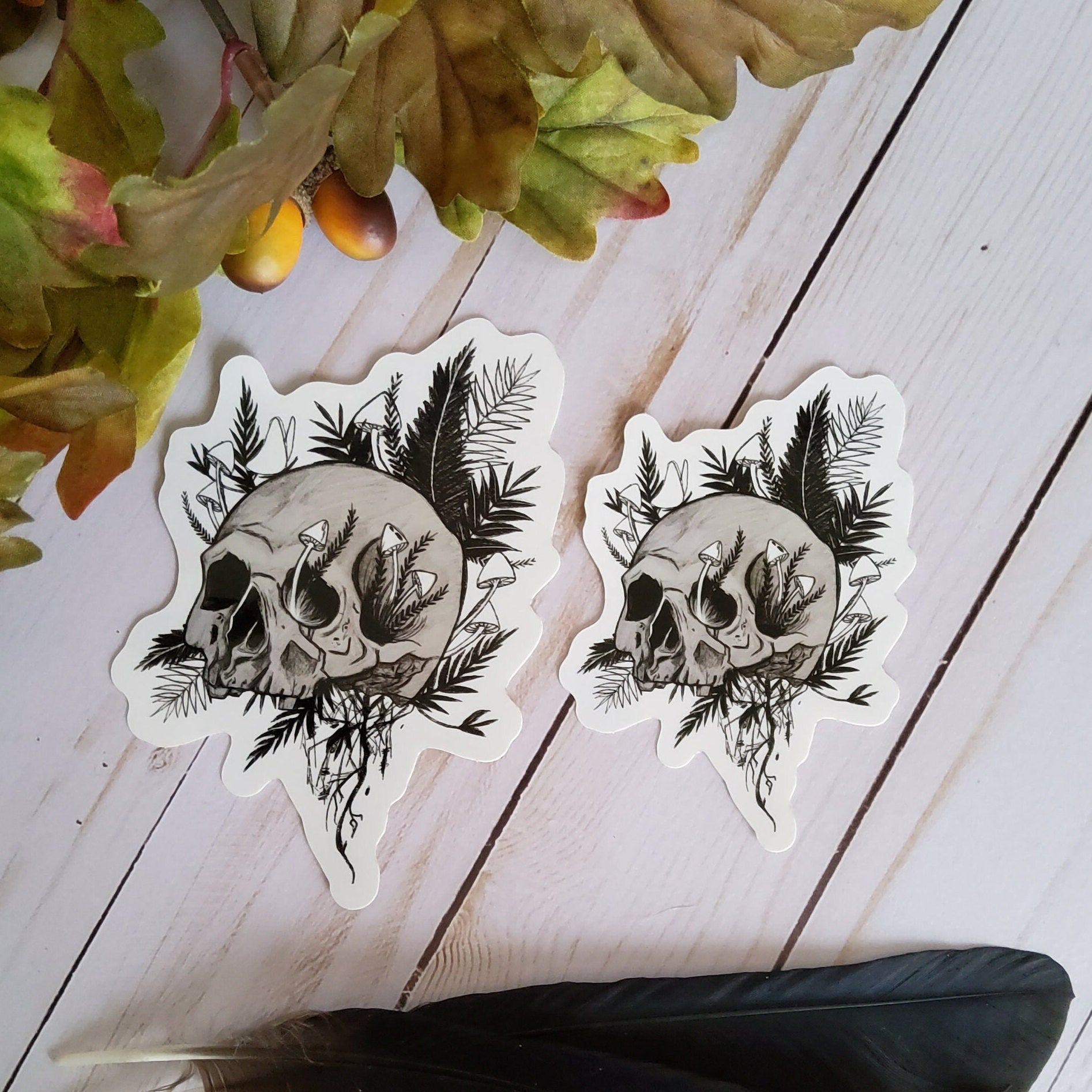 GLOSSY STICKER: Rebirth Skull and Mushroom Black and Grey Sticker , Skull and Ferns Sticker , Dark Aesthetic Skull Sticker , Skull Sticker Acornandcrowstudio